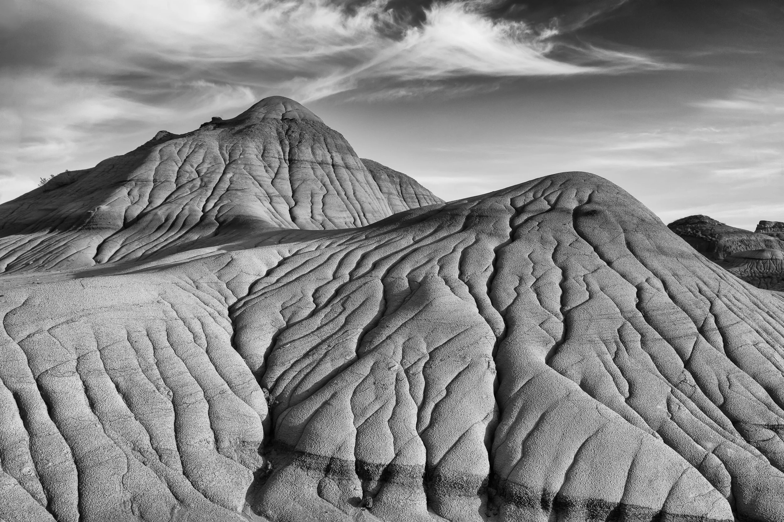 B&W Dinosaur Provincial Park
