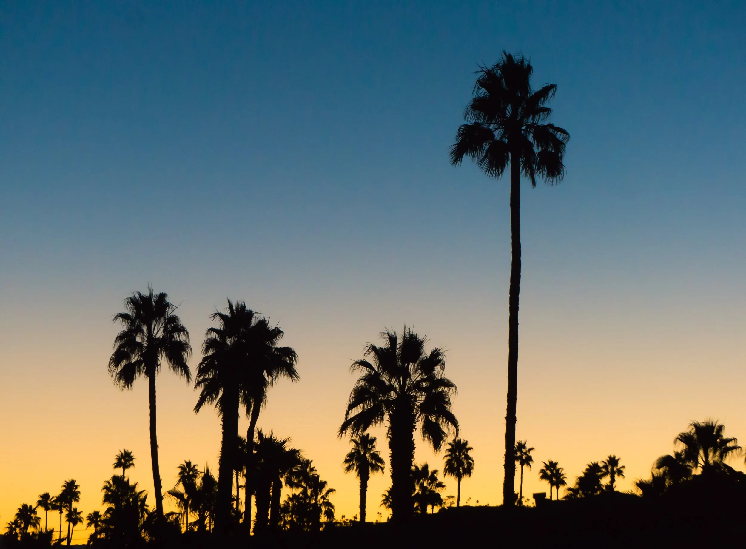 Sunrise Palm Spring CA USA