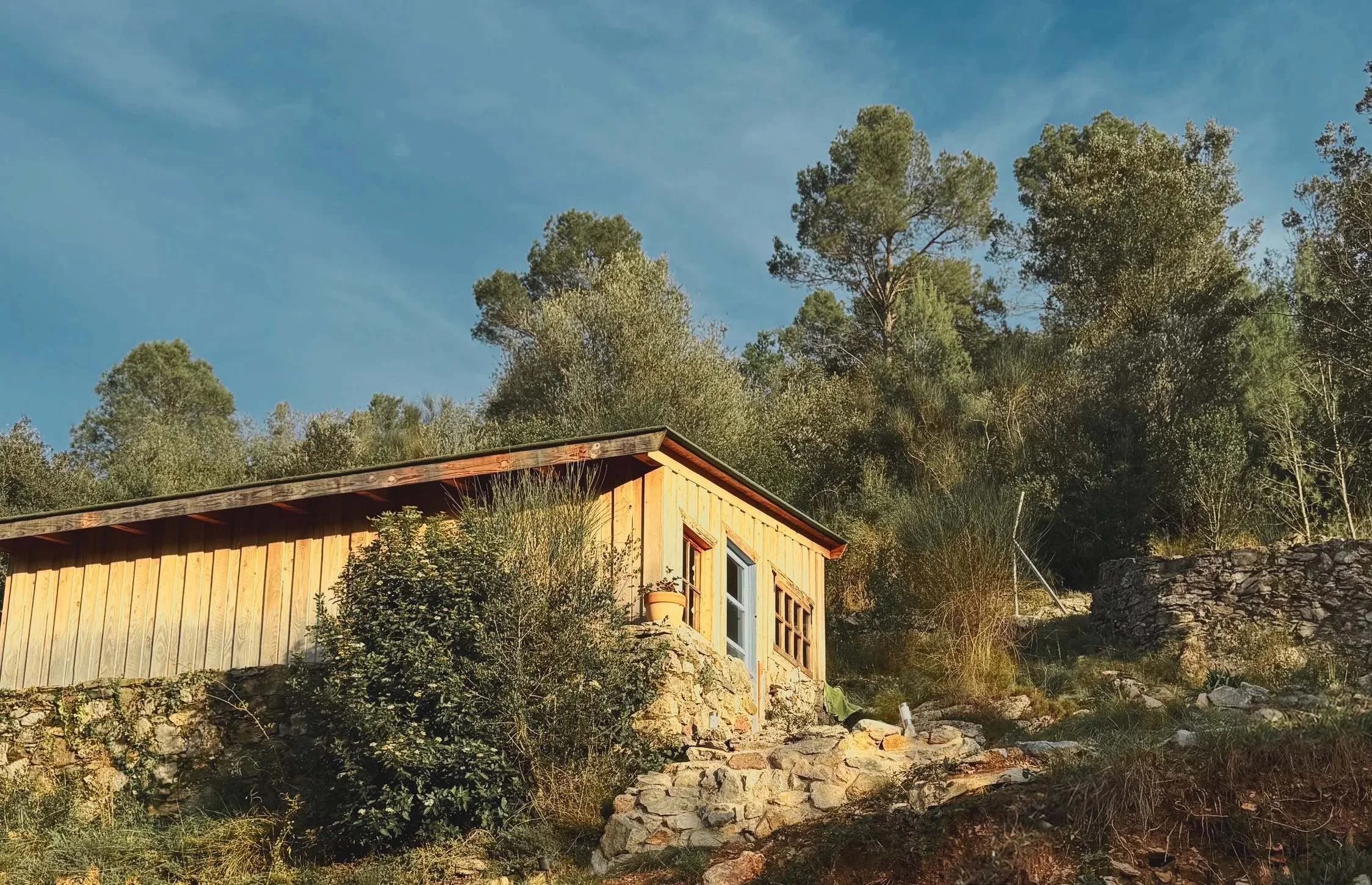 Tiny cabin in Spain surrounded by nature