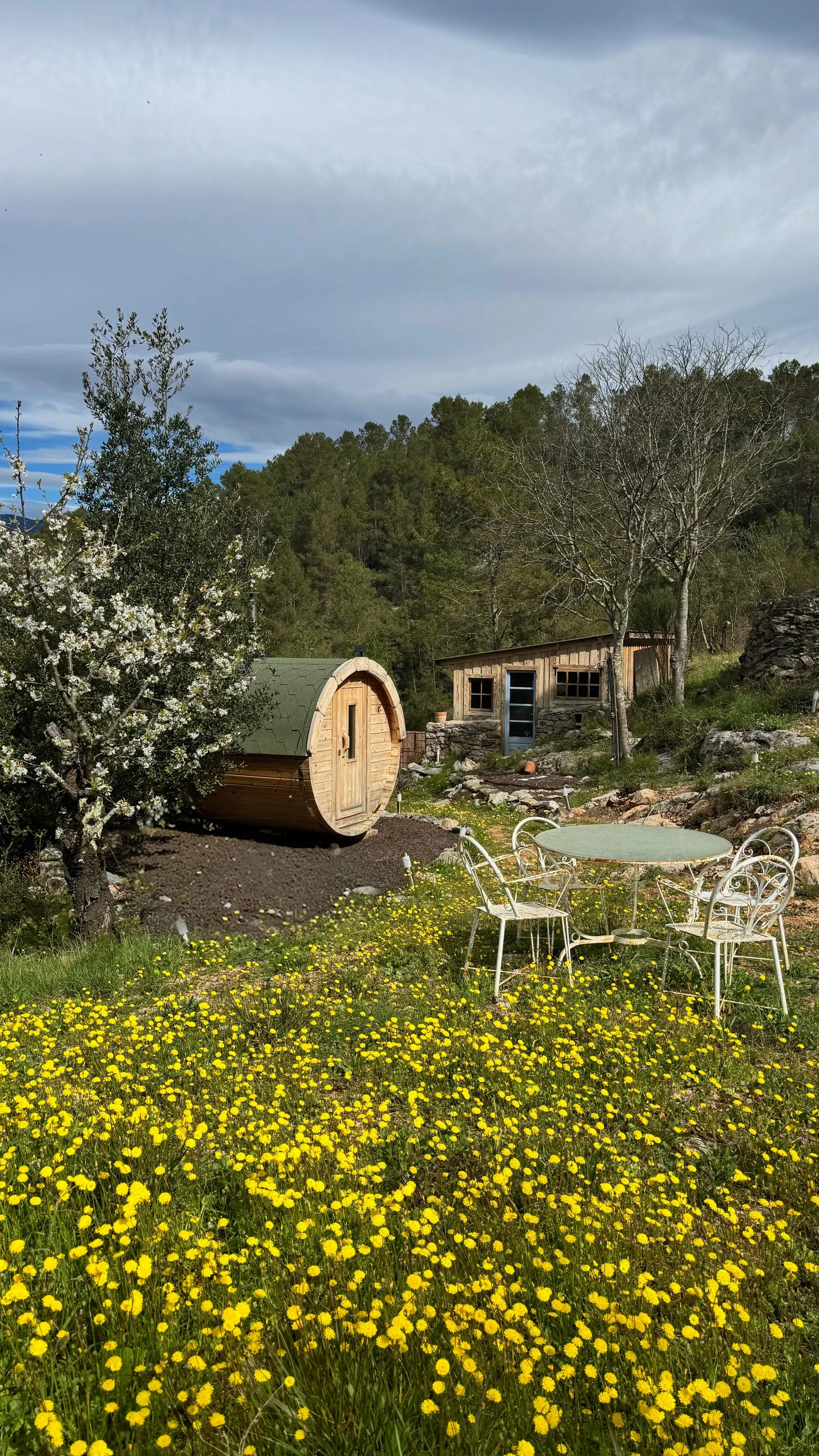 sauna y cabaña rodeadas de flores amarillas