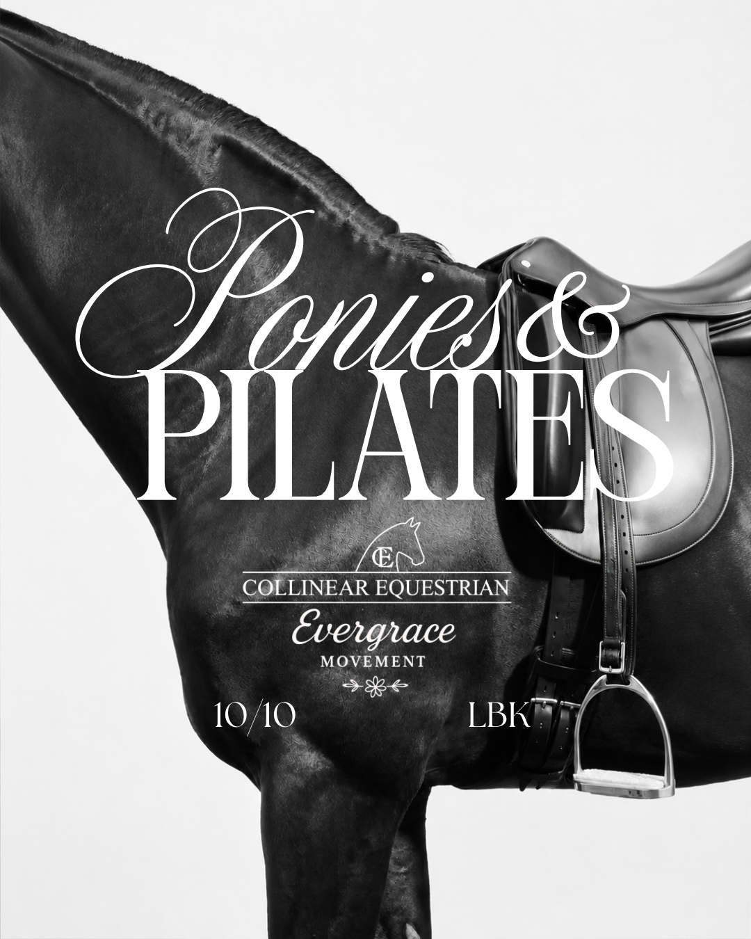 Ponies & Pilates