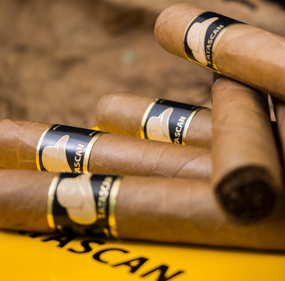 Several cigars with black and gold bands labeled 'TASCAAN' lying on a yellow surface.