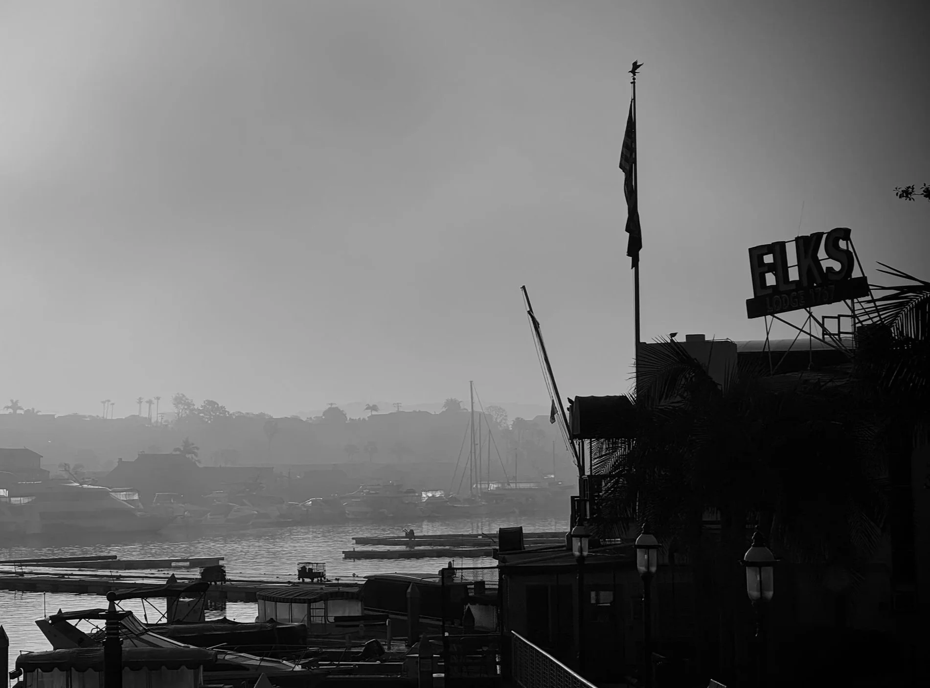 Balboa Elks morning haze