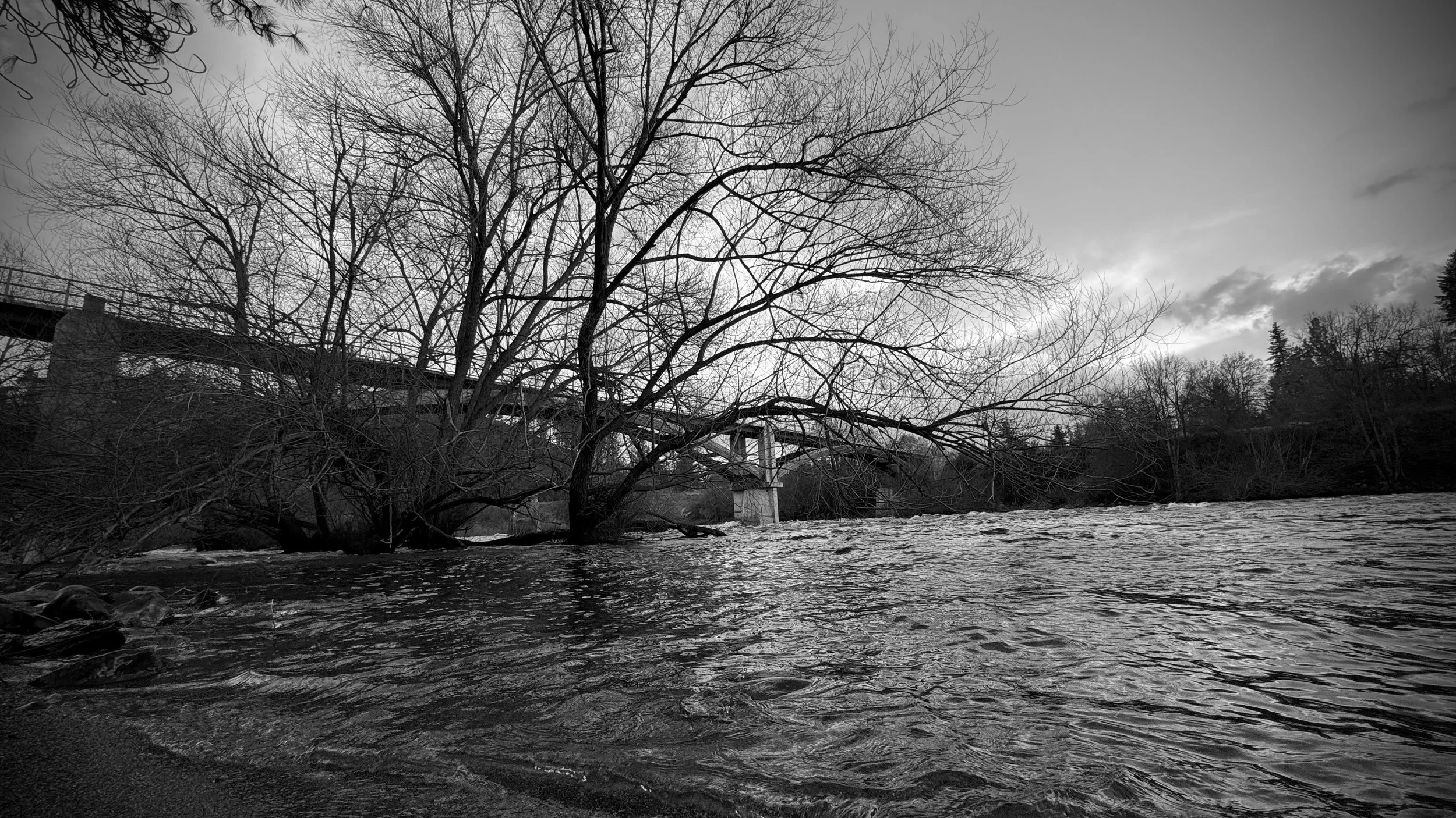 Sandifur Bridge, downstream