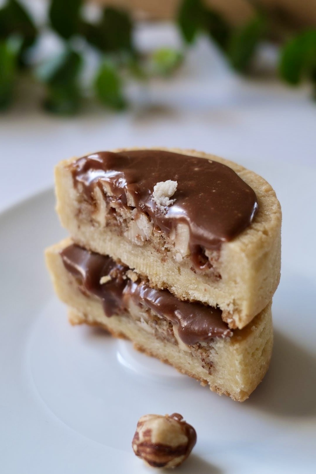 "Easter" Milk Chocolate Hazelnut Ganache Tart with Caramelized Hazelnuts                                   4 Tarts Box