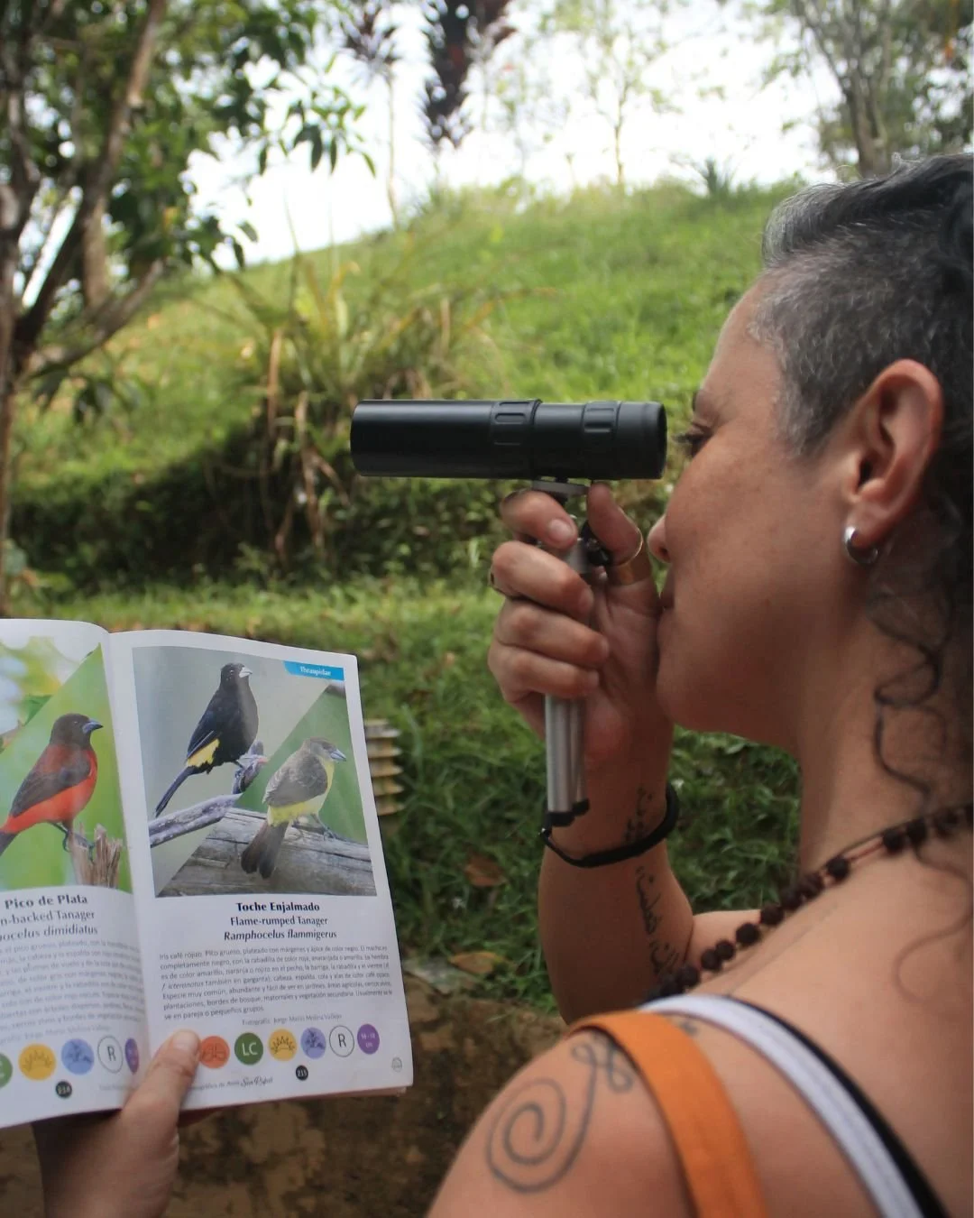 Birdwatching near Medellin