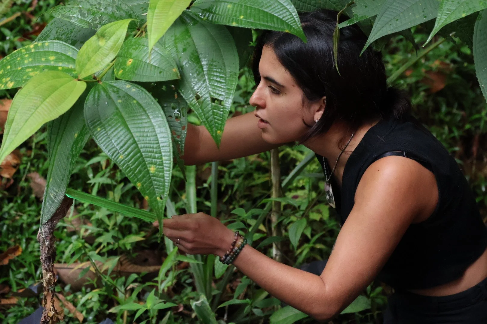 Woman in a black sleeveless top examining green leaves in a jungle or forest.