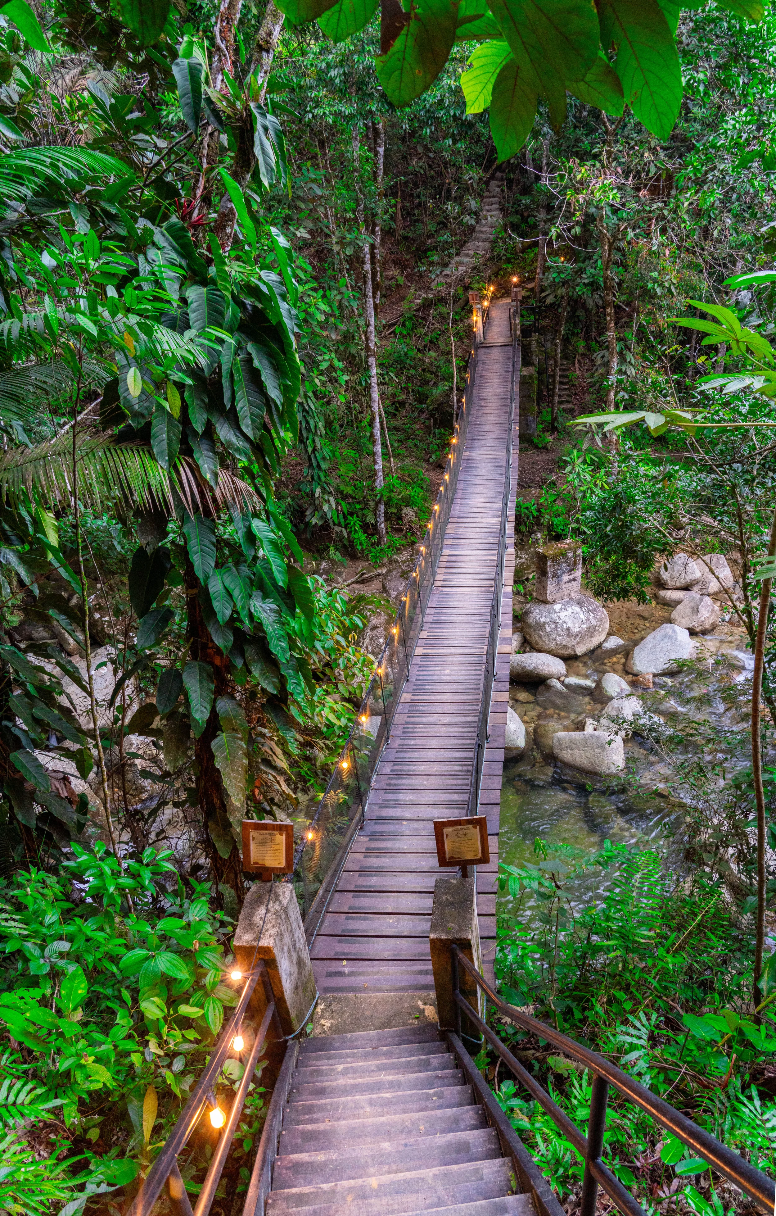 The Ultimate Guide to Studying Spanish in Nature Near Medellín