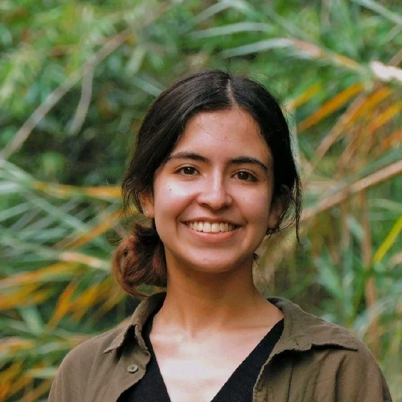 Best volunteering experiences in Latinamerica. Best volunteering experiences in Colombia. Best volunteering opportunities near Medellín