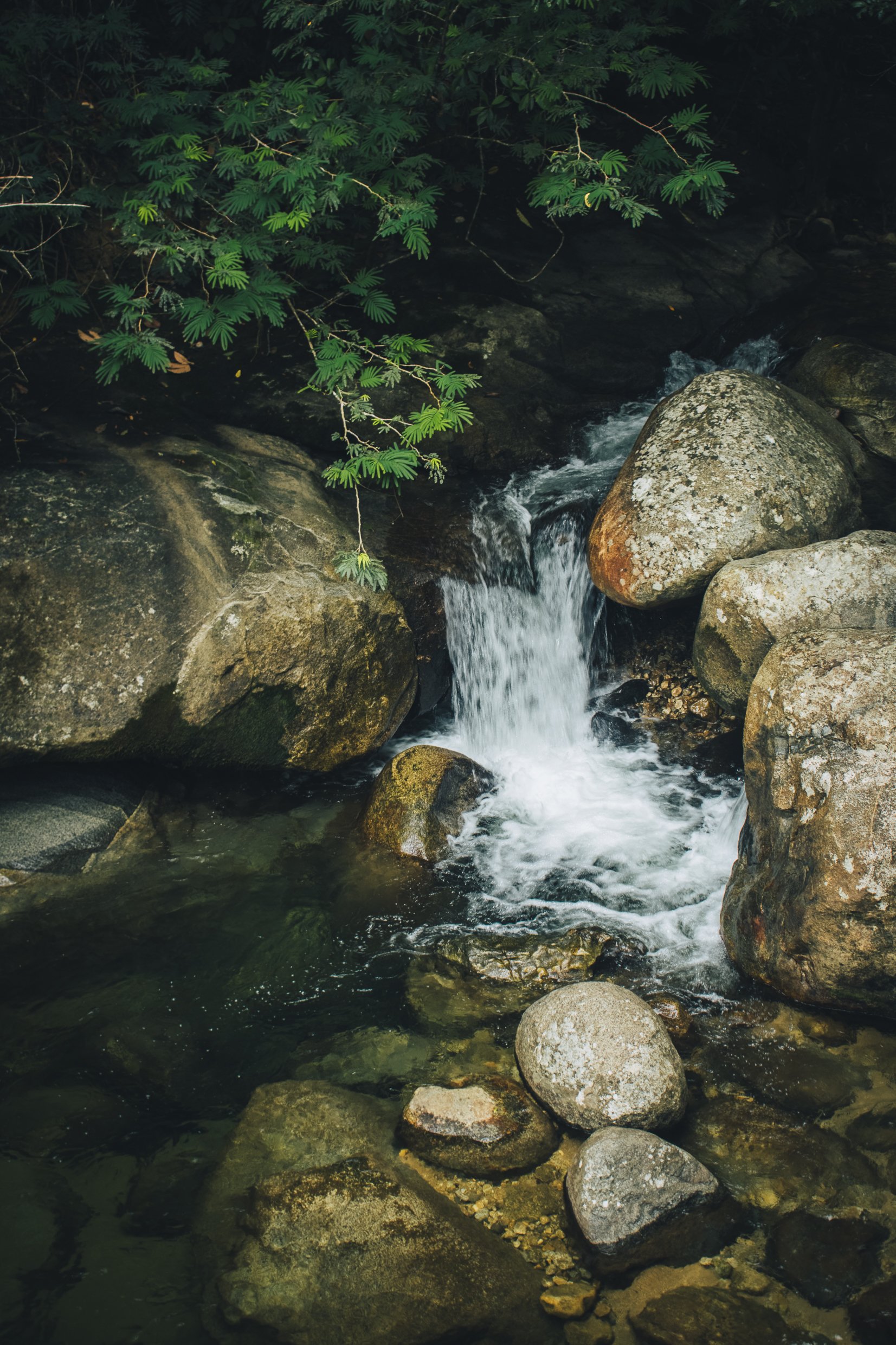 Crystal clear river near Medellín