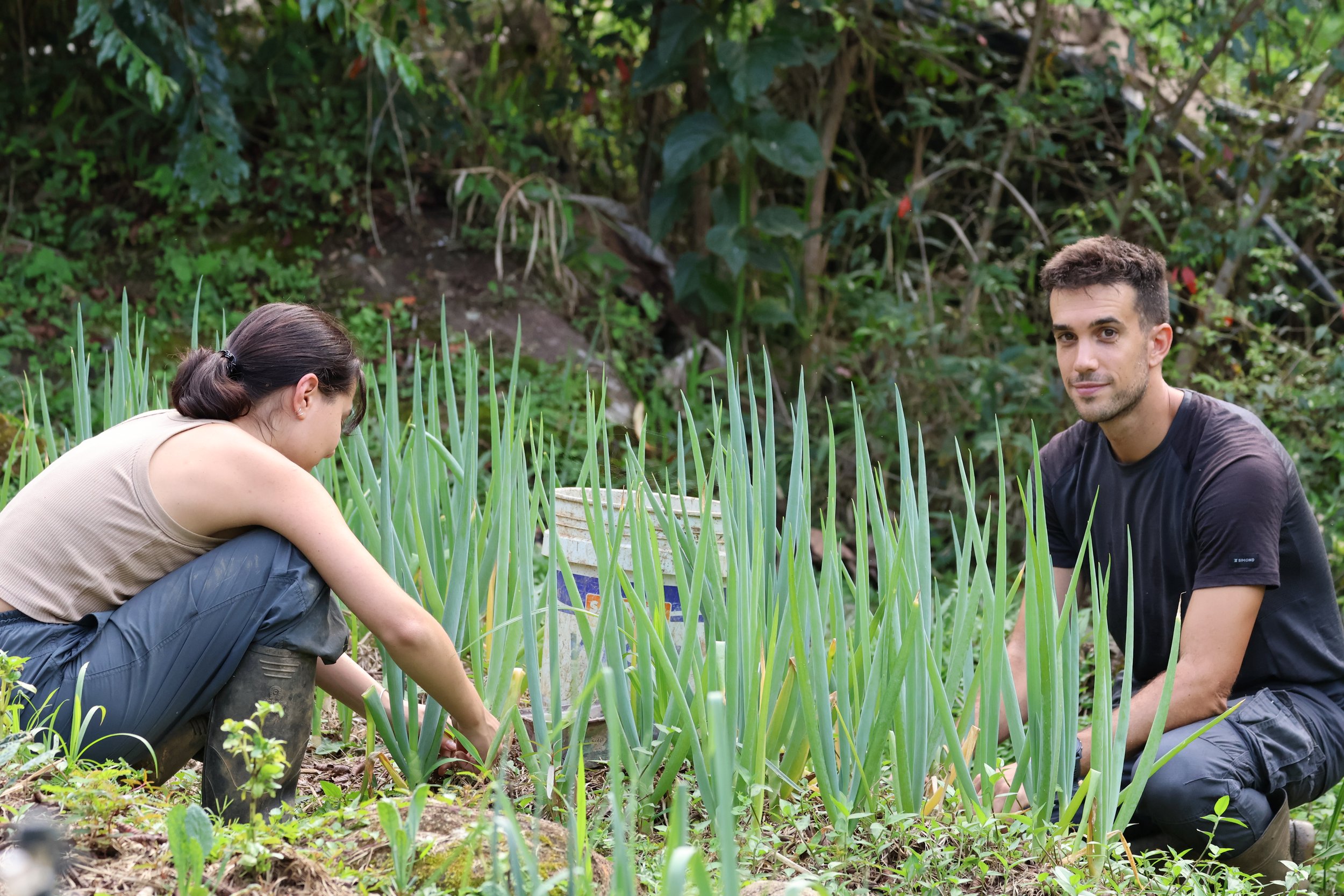 Spanish in nature near Medellín