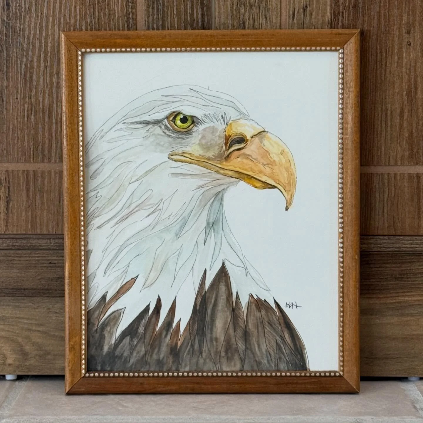 PRINTS FOR SALE! *Message me to purchase*
🖼️ 8x10 - $15 without frame, $30 with frame
🖼️ 11x14 - $20 without frame, $35 with frame
🖼️ 20x30 Poster - $70
🦅 
Bald Eagle