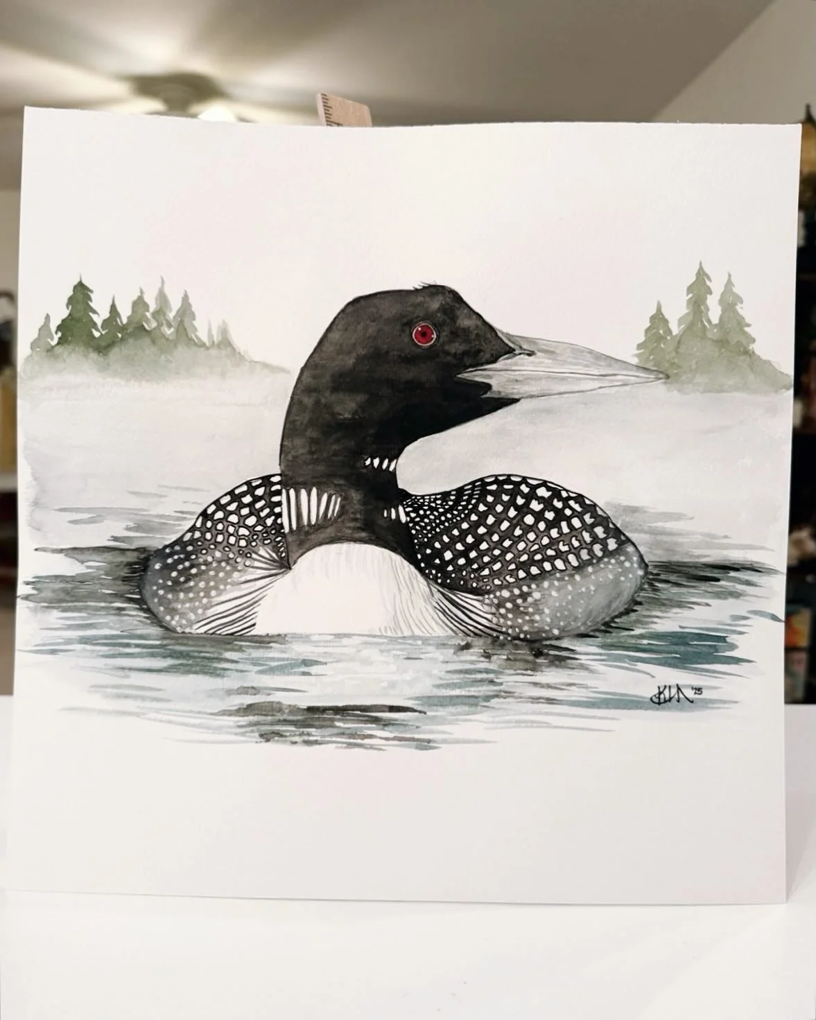 PRINTS FOR SALE! *Message me to purchase*
🖼️ 8x8 - $15 without frame, $30 with frame
🖼️ 12x12 - $20 without frame, $35 with frame
🖼️ 20x20 Poster (no frame)- $60
☀️ 
Common Loon