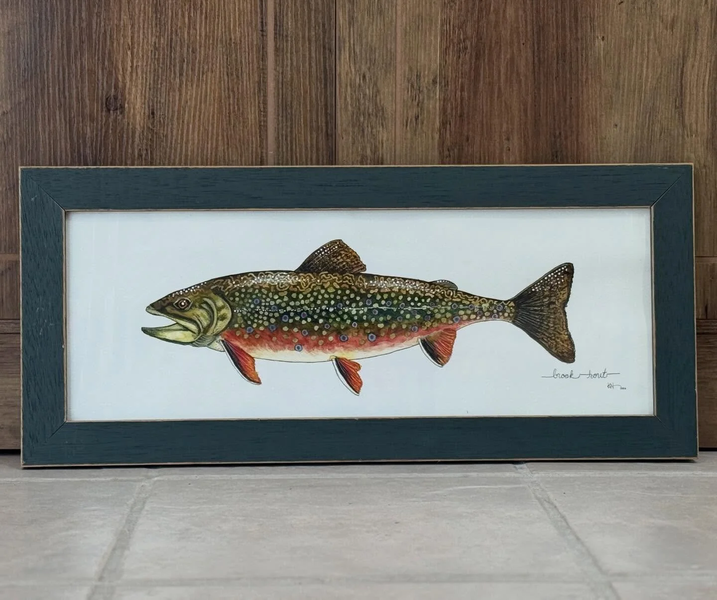 Brook Trout 🎣 For Sale $325