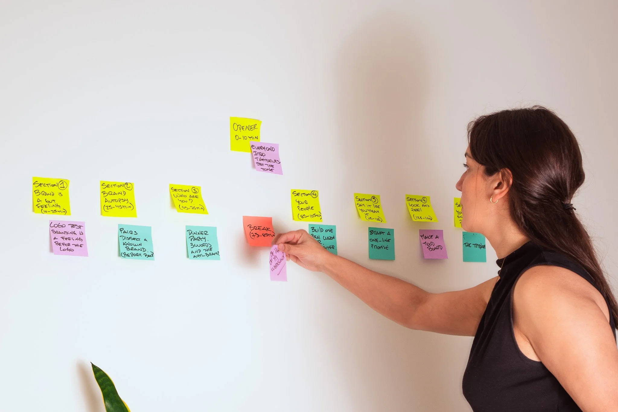 Public Brand Strategy Workshop | Christchurch 10/10/26 | Early Bird $125