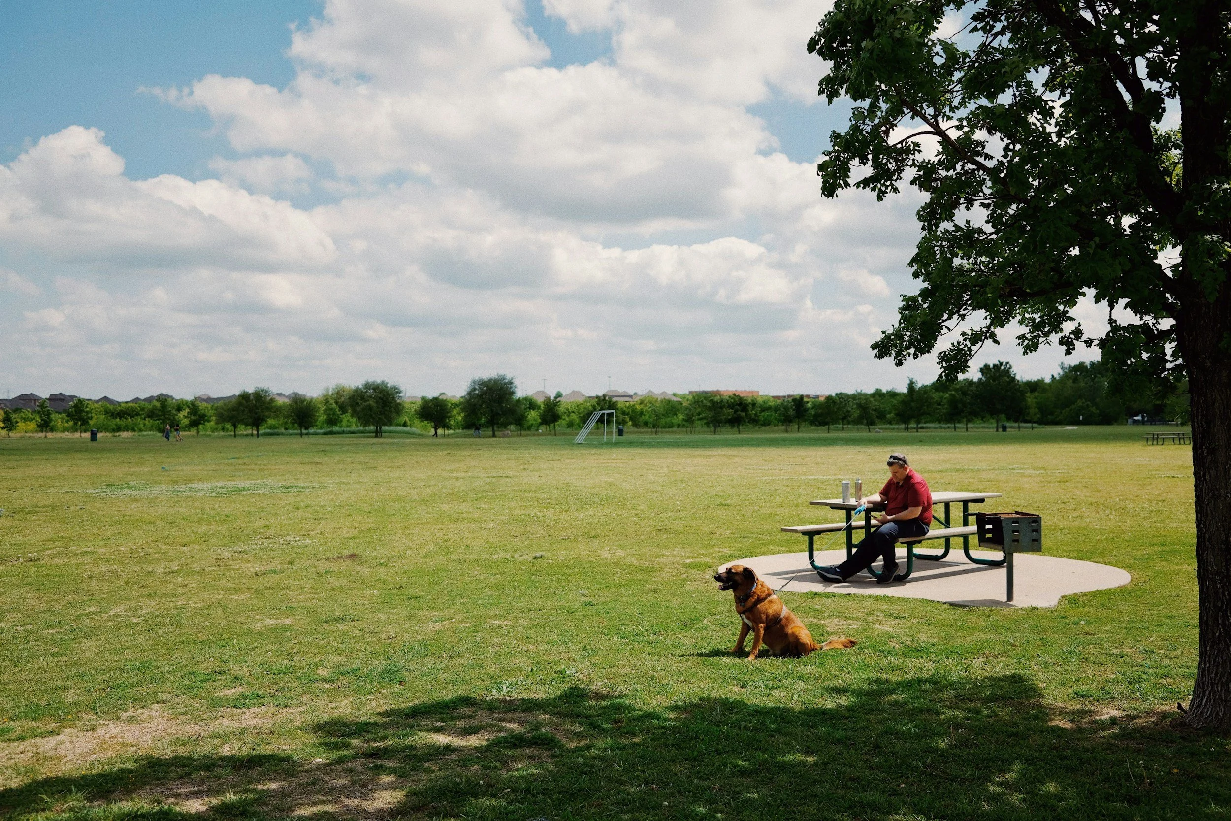 Rendez-vous au parc {Meet at the park}