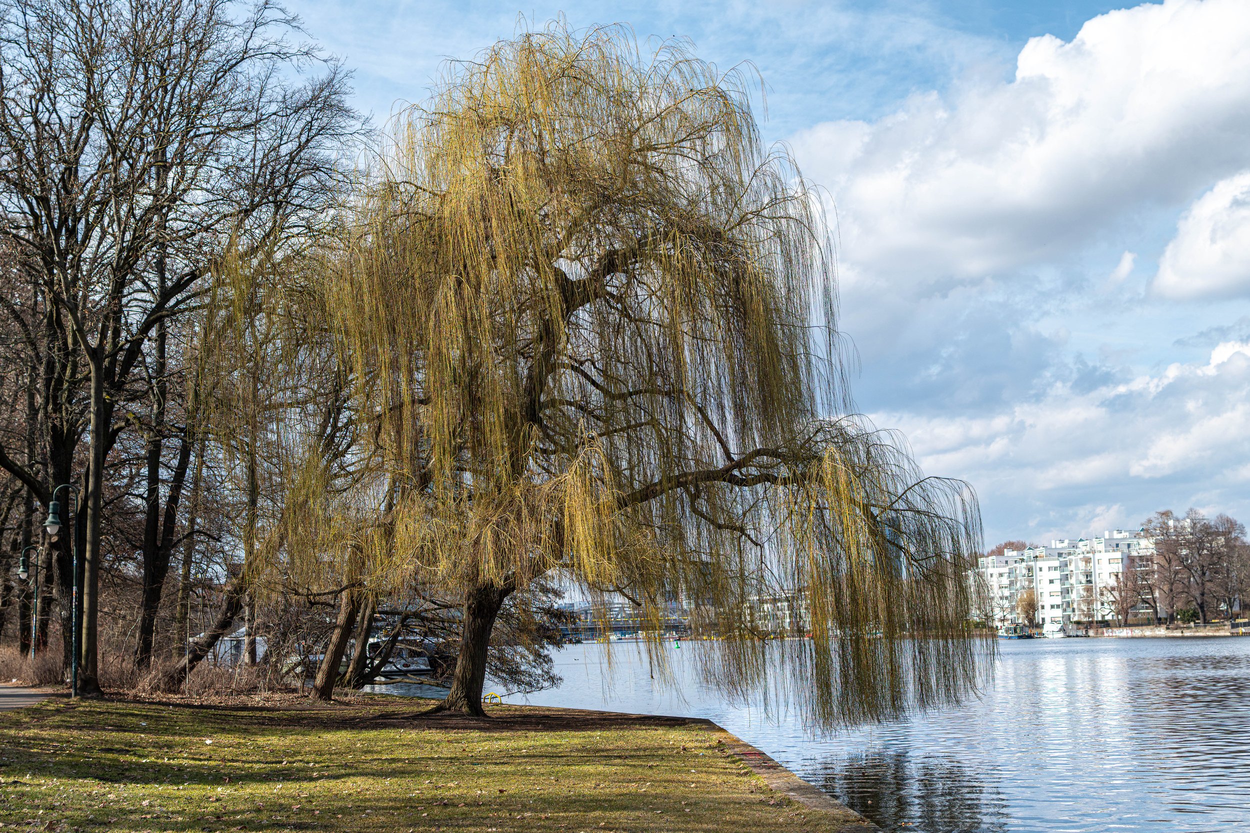 MJH-ENHANCED-260311-Photowalk-Treptower Park-019.JPG