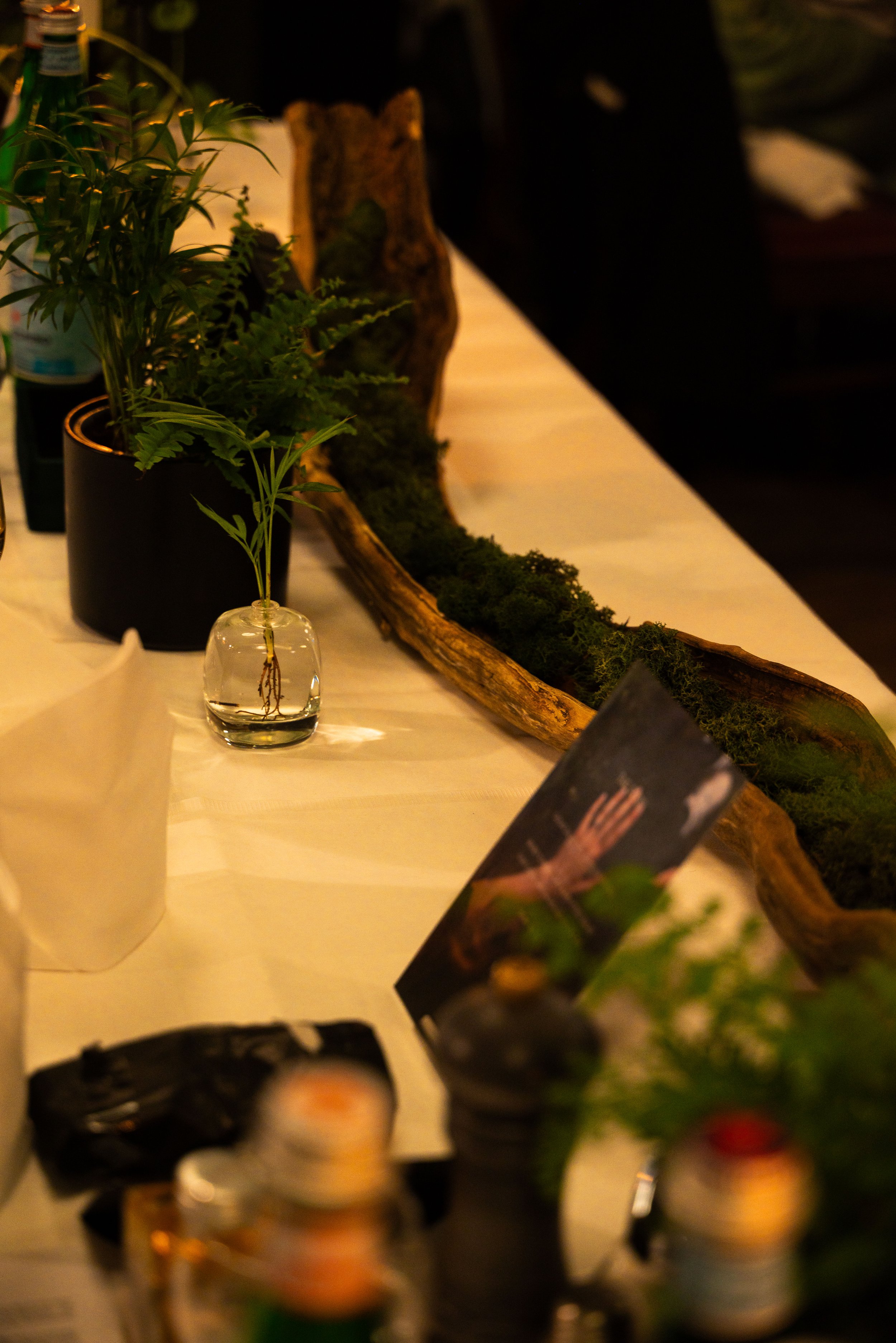 MJH-Weddings-20260613-Mark&Cara_©Matthew Hansen_133.JPG