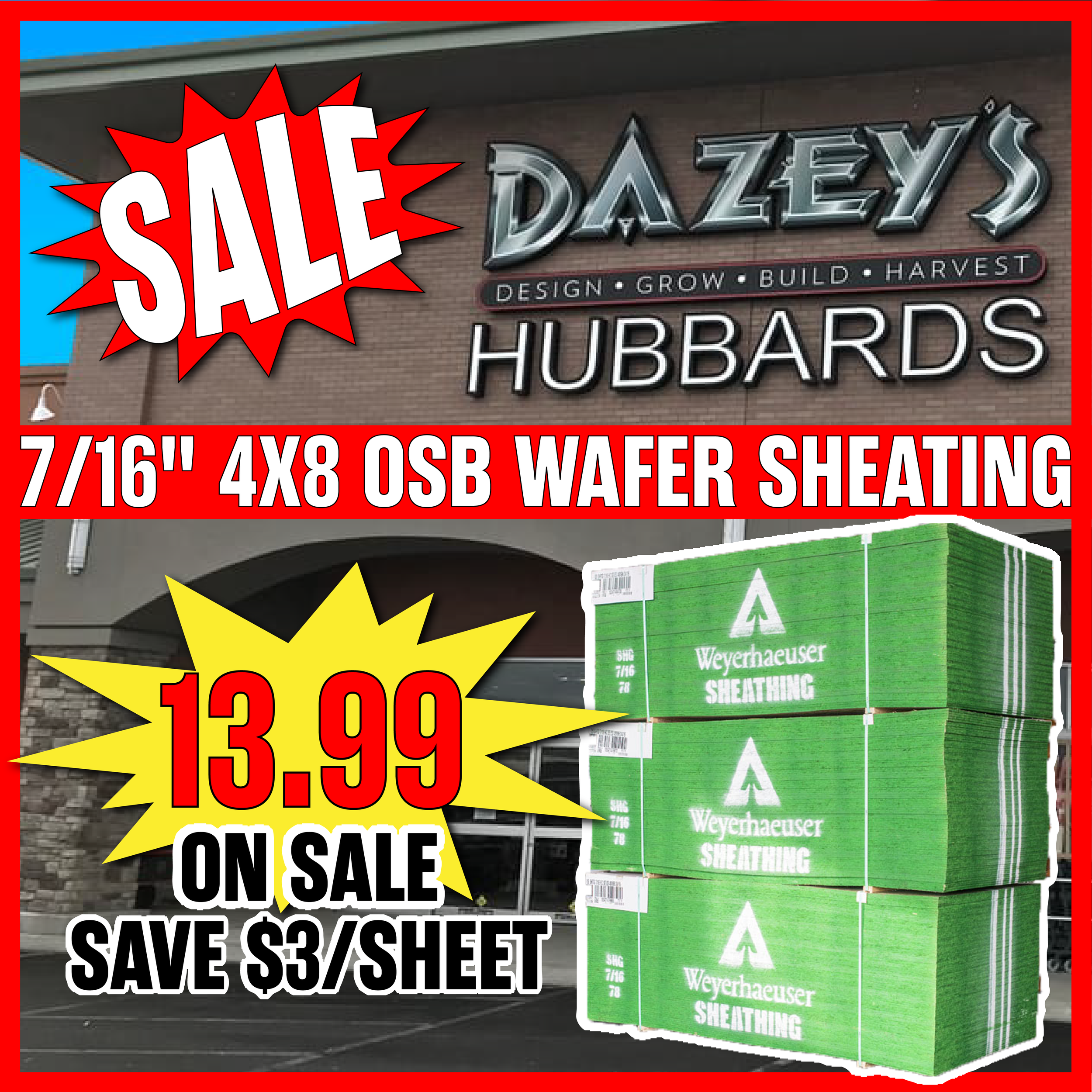 Dazeys - Empty Art Board@300x.png