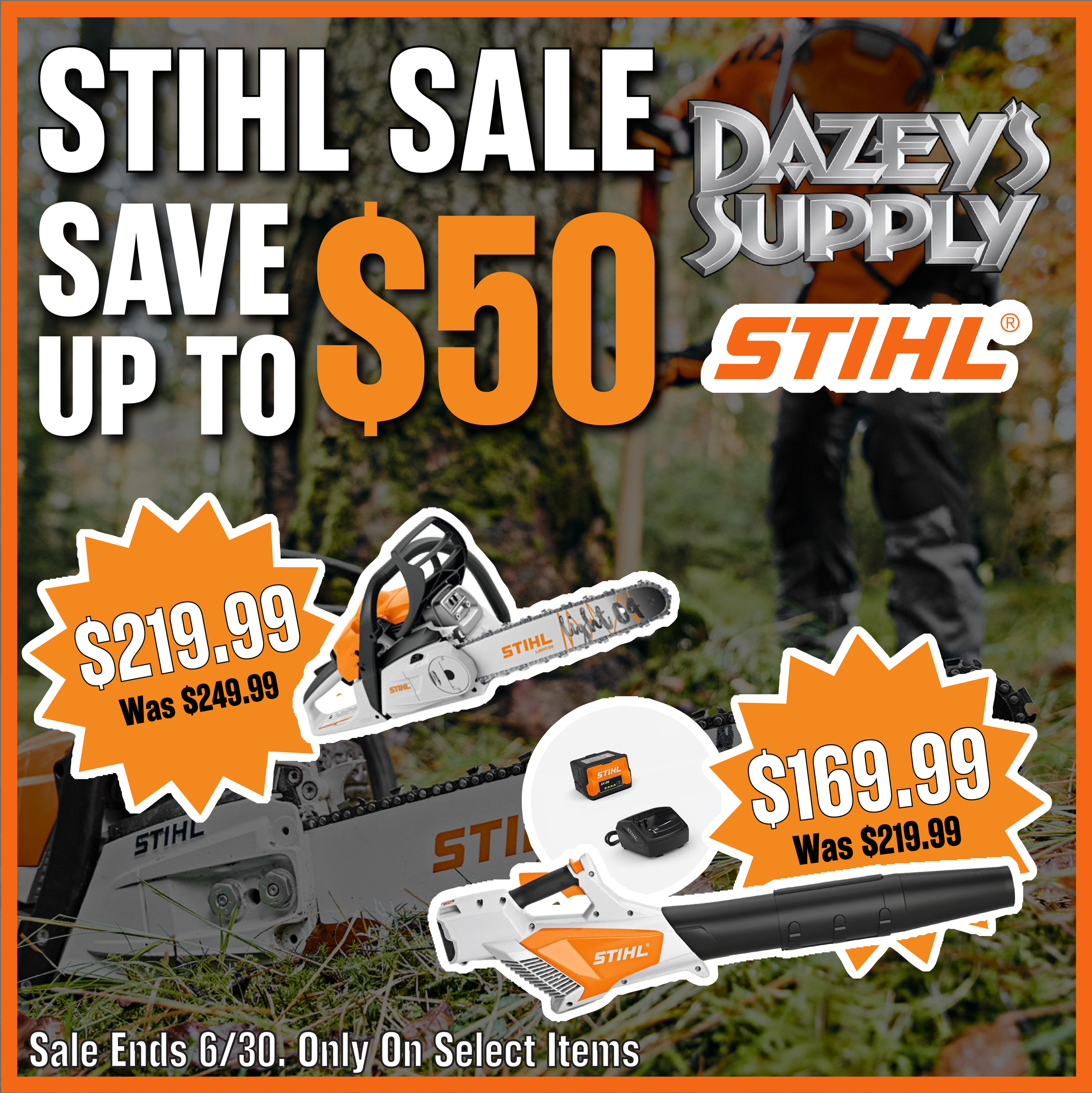 DZY - Stihl Sale@300x (1).png