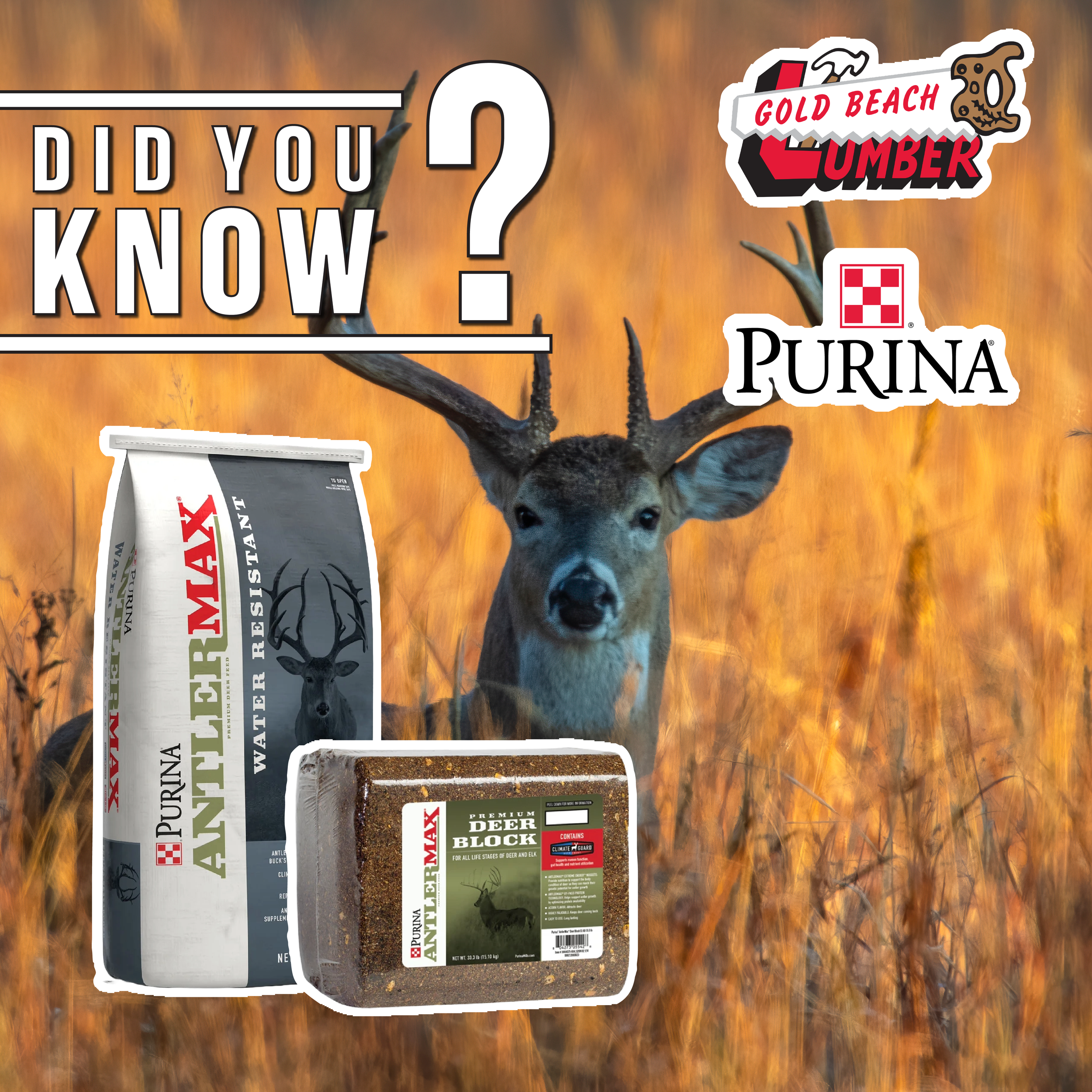 GBL - Wildlife Purina Awareness @300x.png