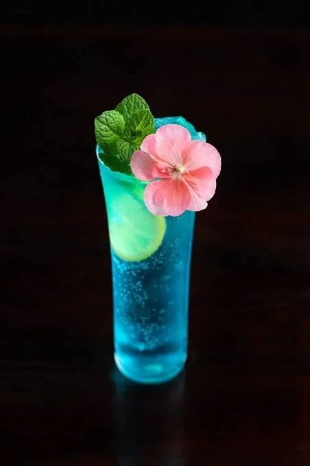 Seltzer Competition
