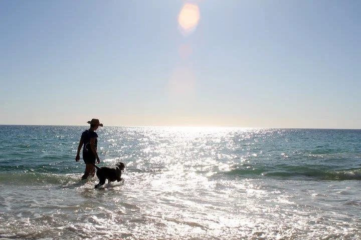 A woman and a dog walking in the shallow water of the ocean during a sunny day, with the sun reflecting on the water.