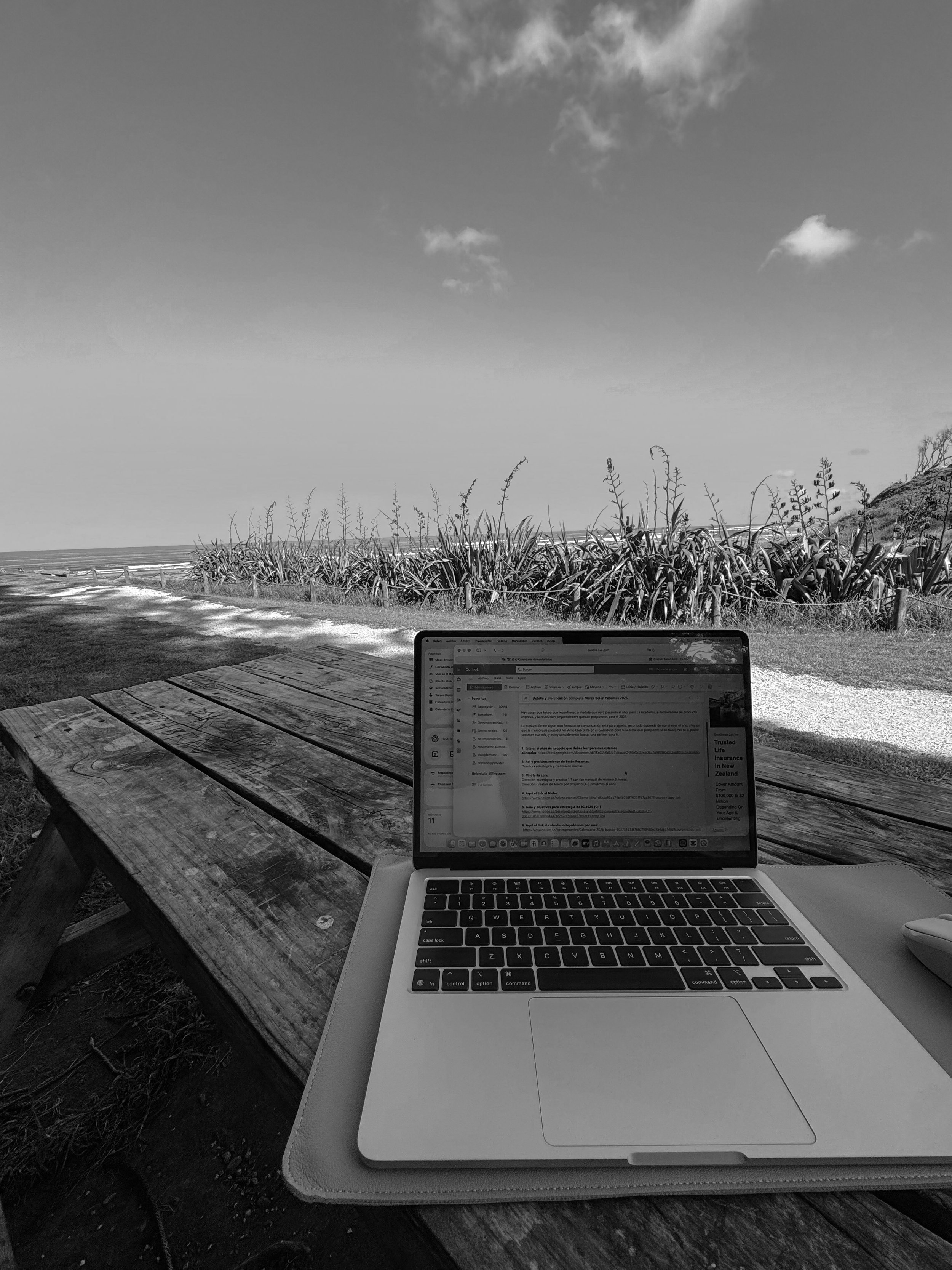 Social Media Manager