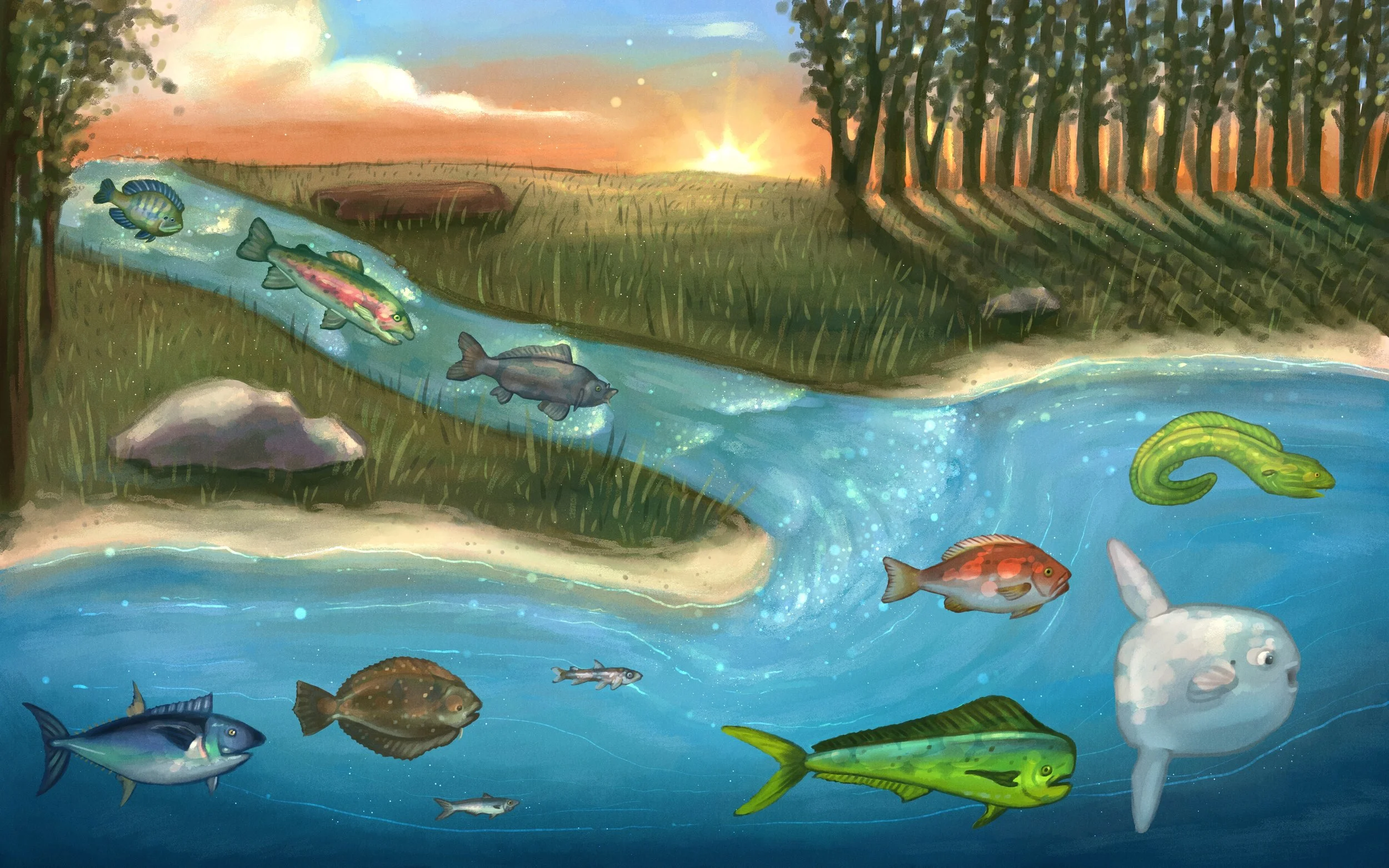 Educational book illustration spread