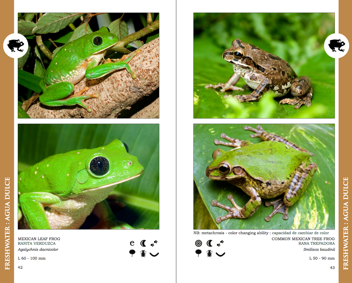 Screen Shot 2013-12-30 at 12.16.57 PM.png