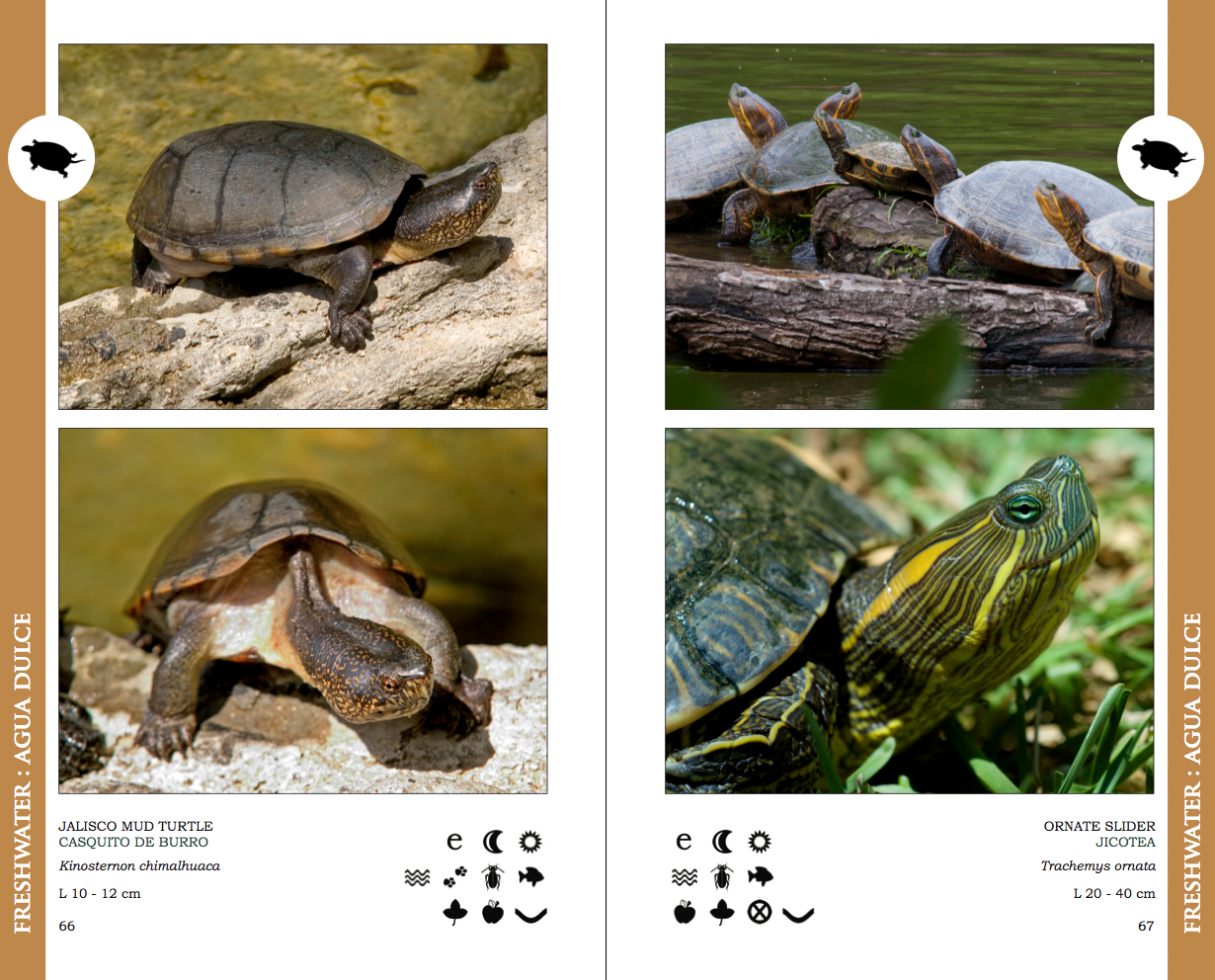 Screen Shot 2013-12-30 at 12.17.27 PM.png