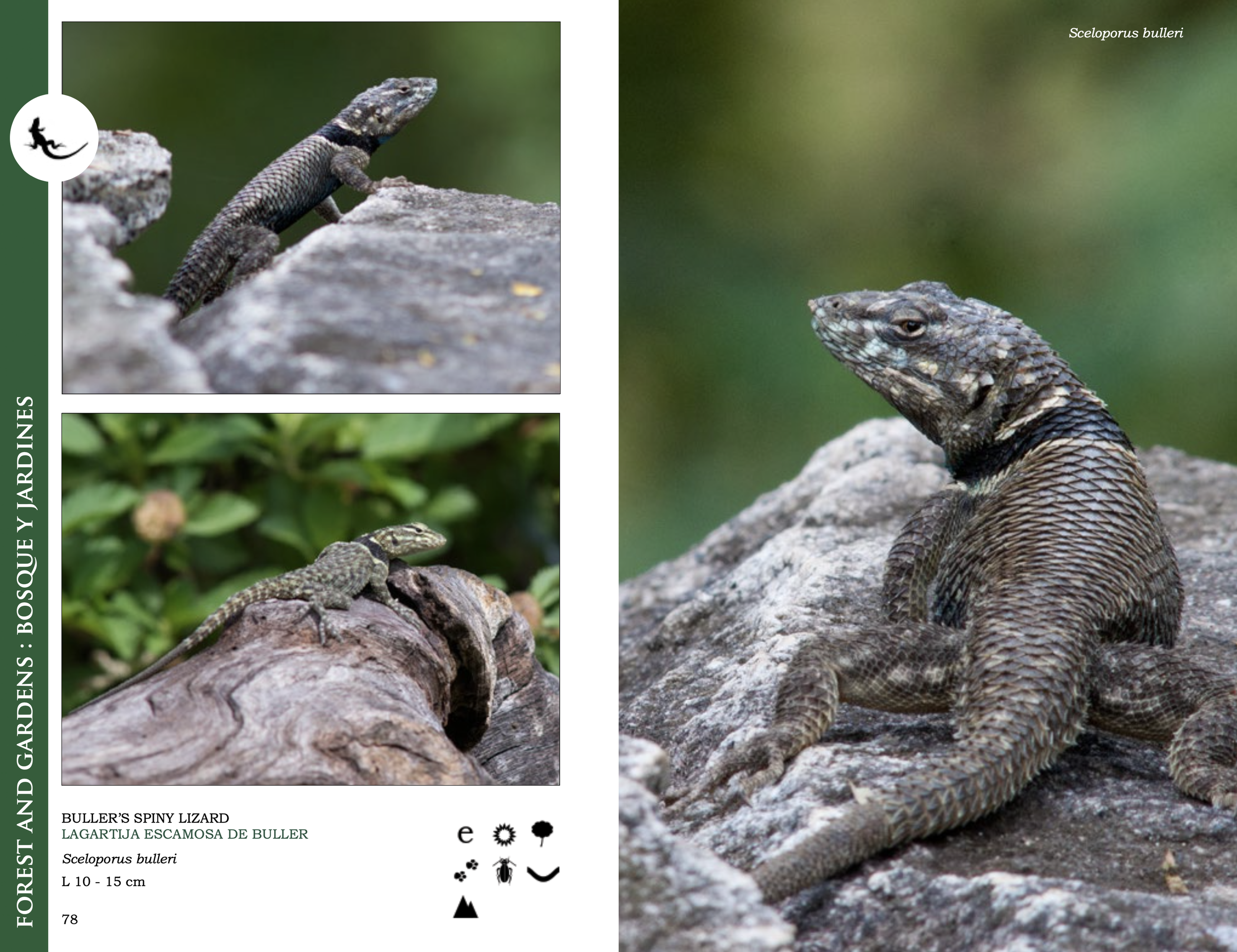 Screenshot 2026-03-01 at 9.05.36 p.m..png