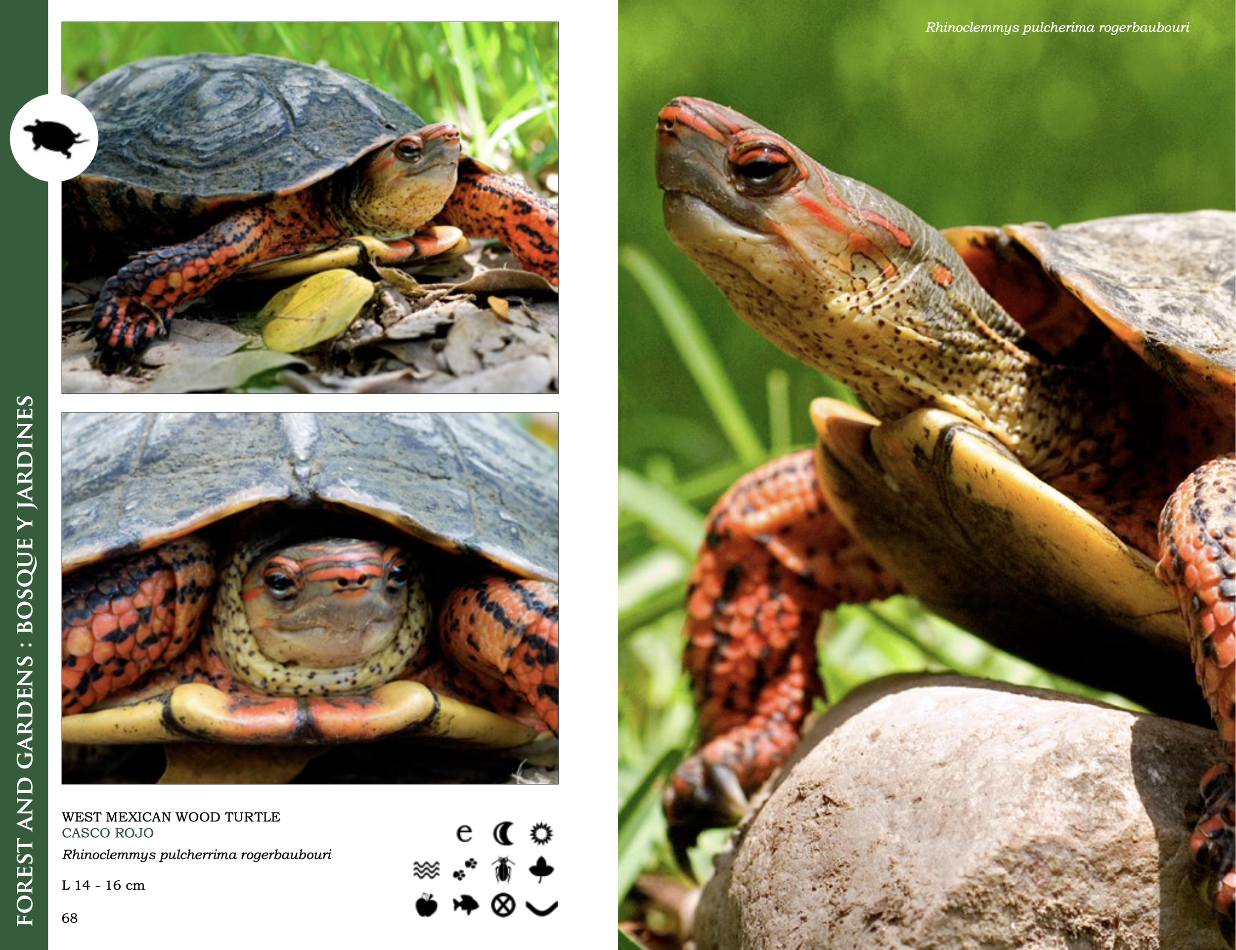 Screenshot 2026-03-01 at 9.05.25 p.m..png