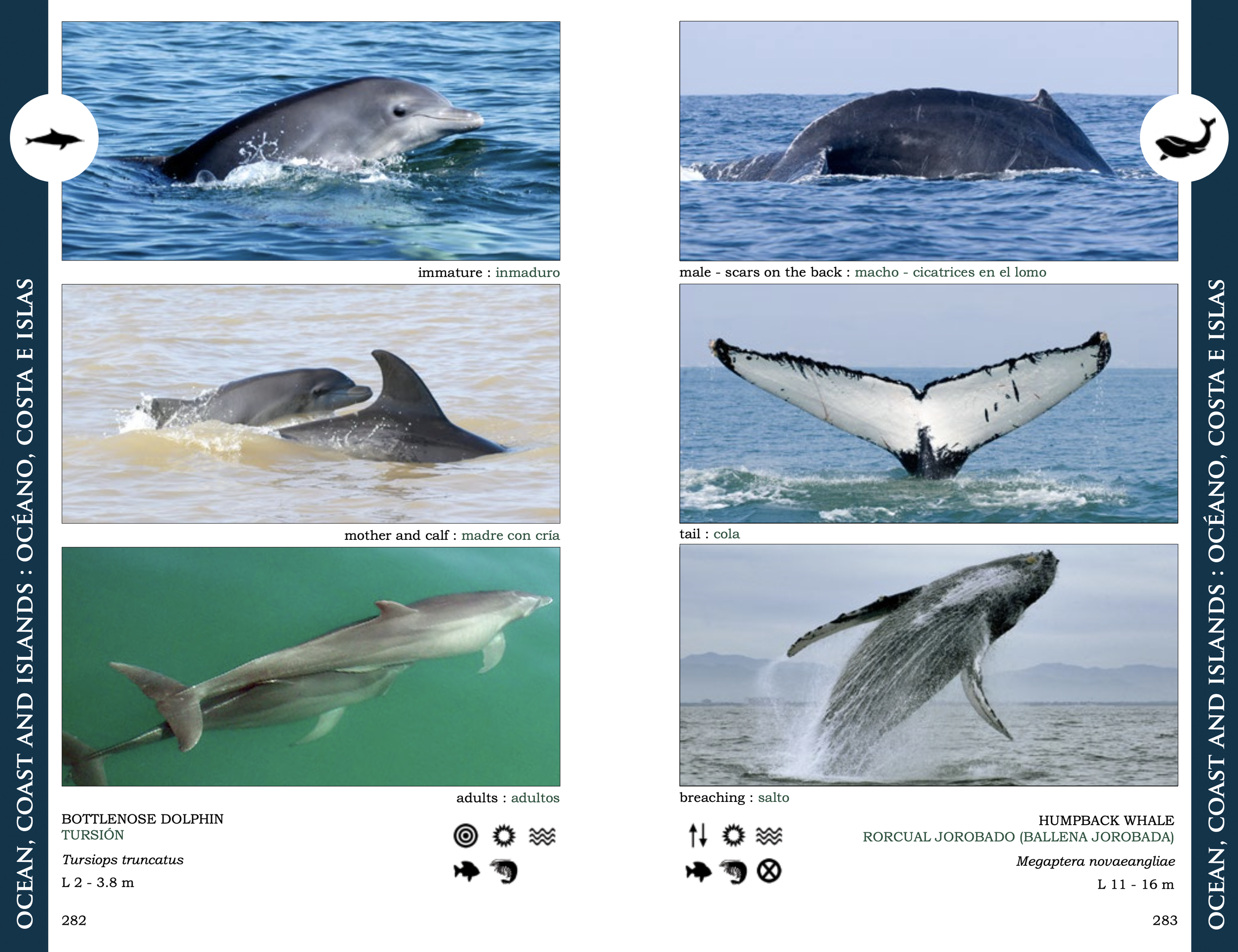 Screenshot 2026-03-01 at 9.06.41 p.m..png