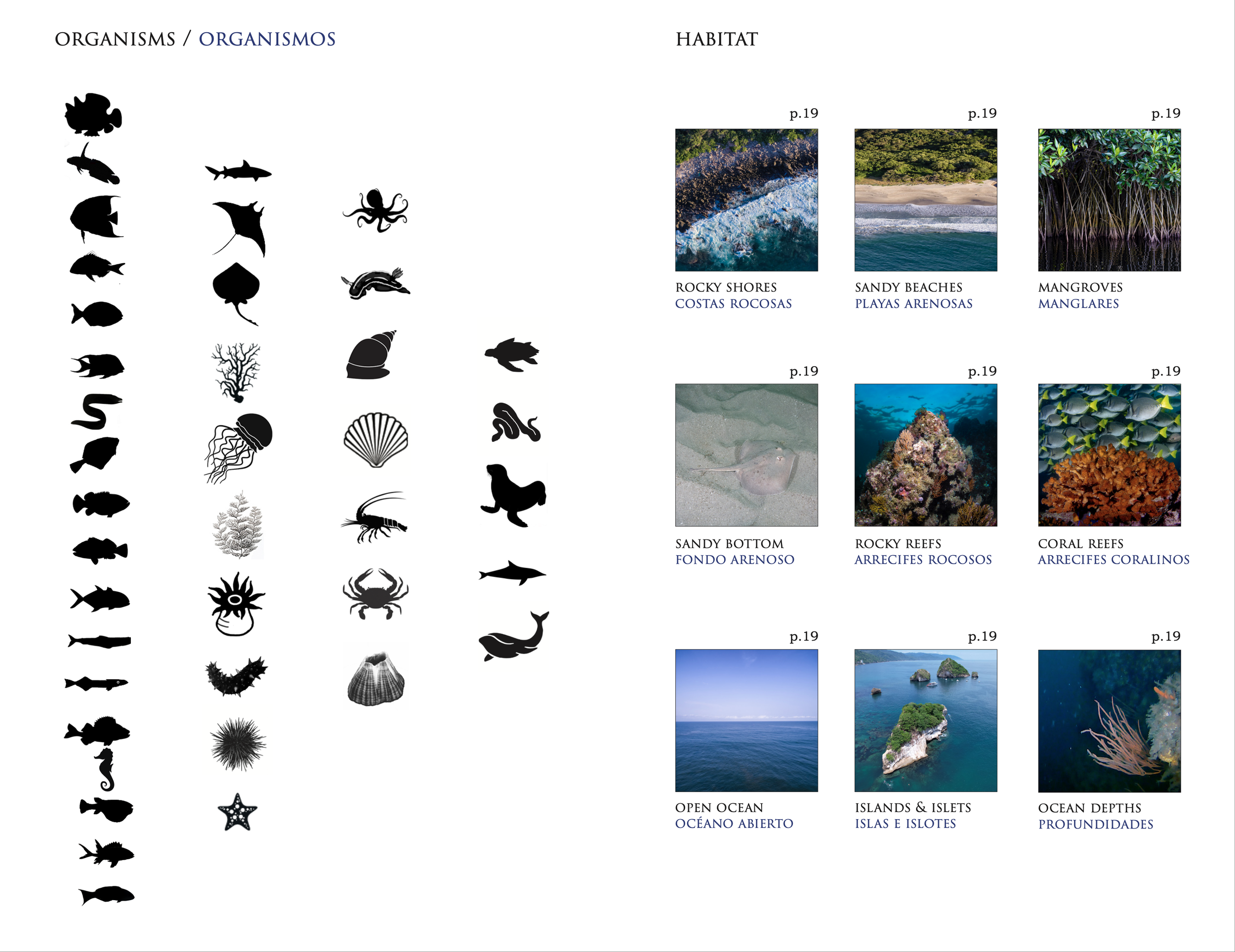 Screenshot 2026-03-02 at 1.47.49 p.m..png
