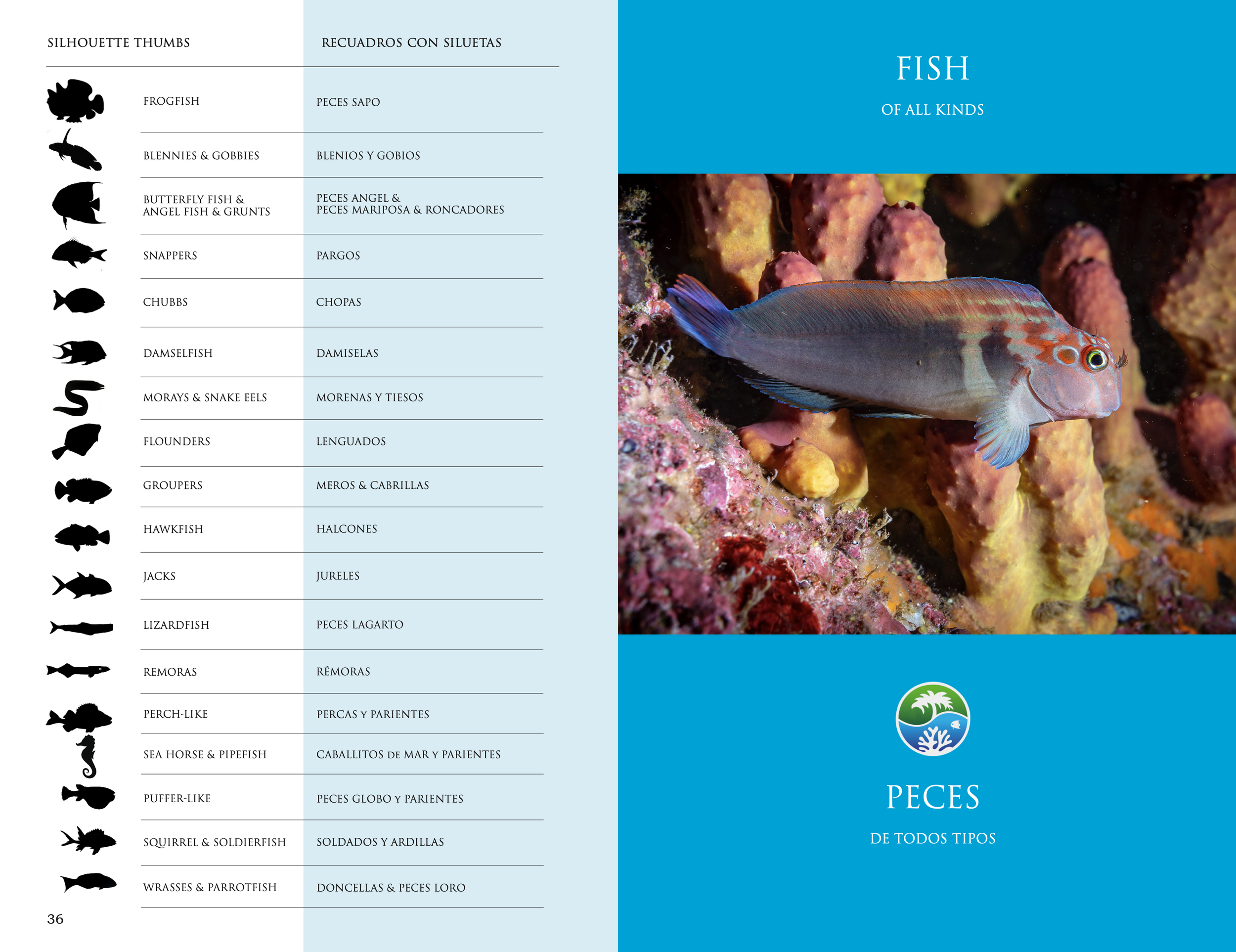 Screenshot 2026-03-02 at 1.48.21 p.m..png