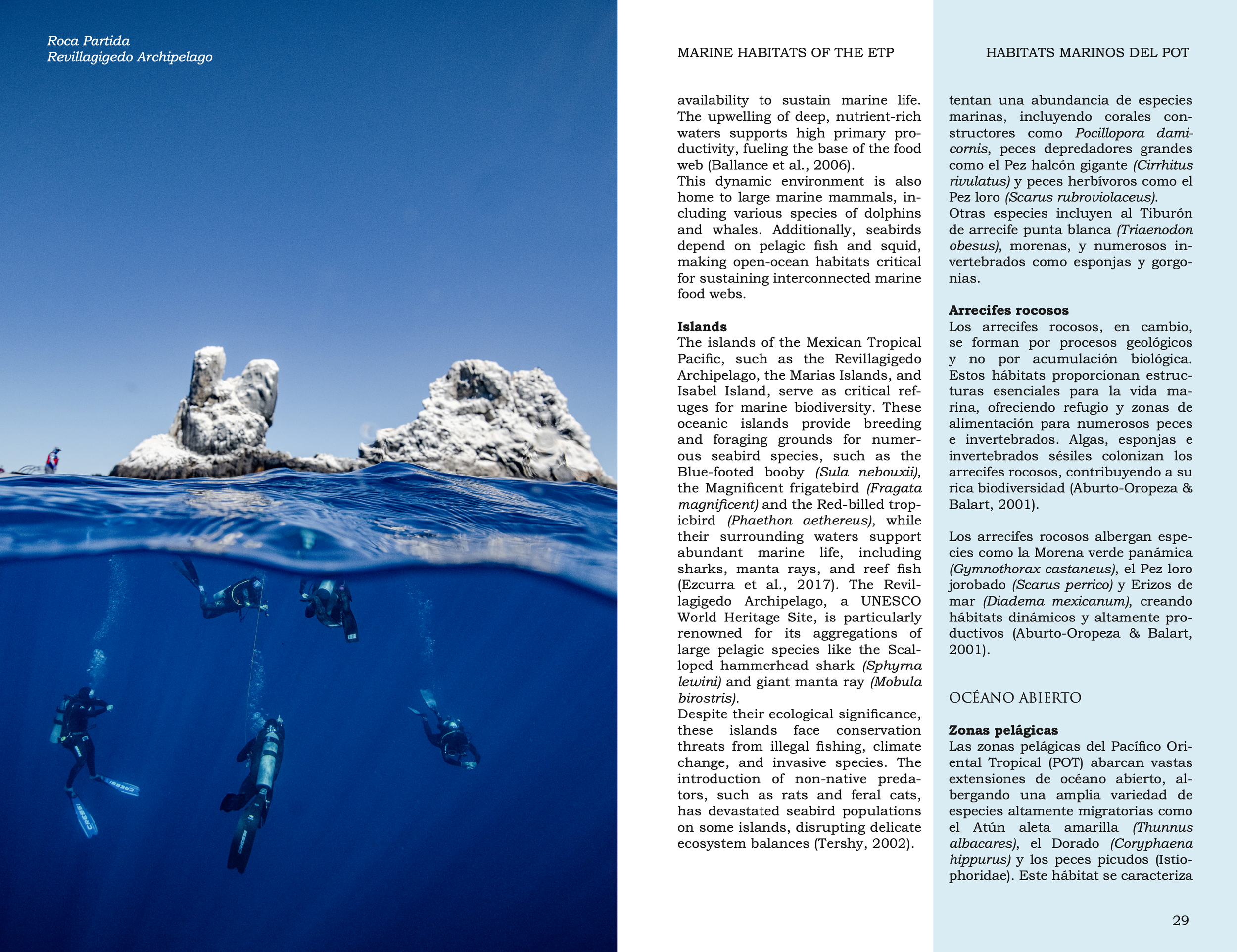 Screenshot 2026-03-02 at 1.48.10 p.m..png