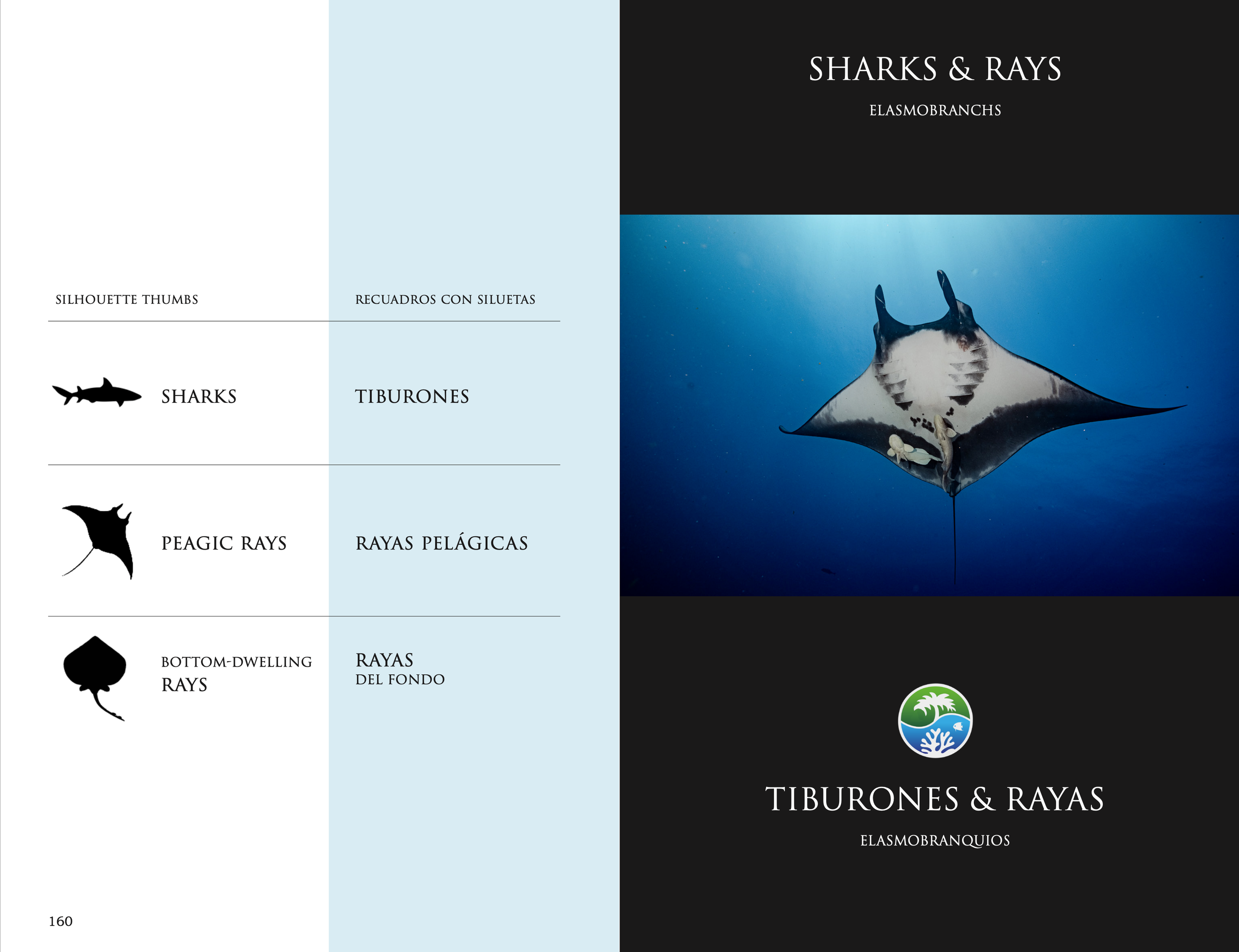 Screenshot 2026-03-02 at 1.49.09 p.m..png