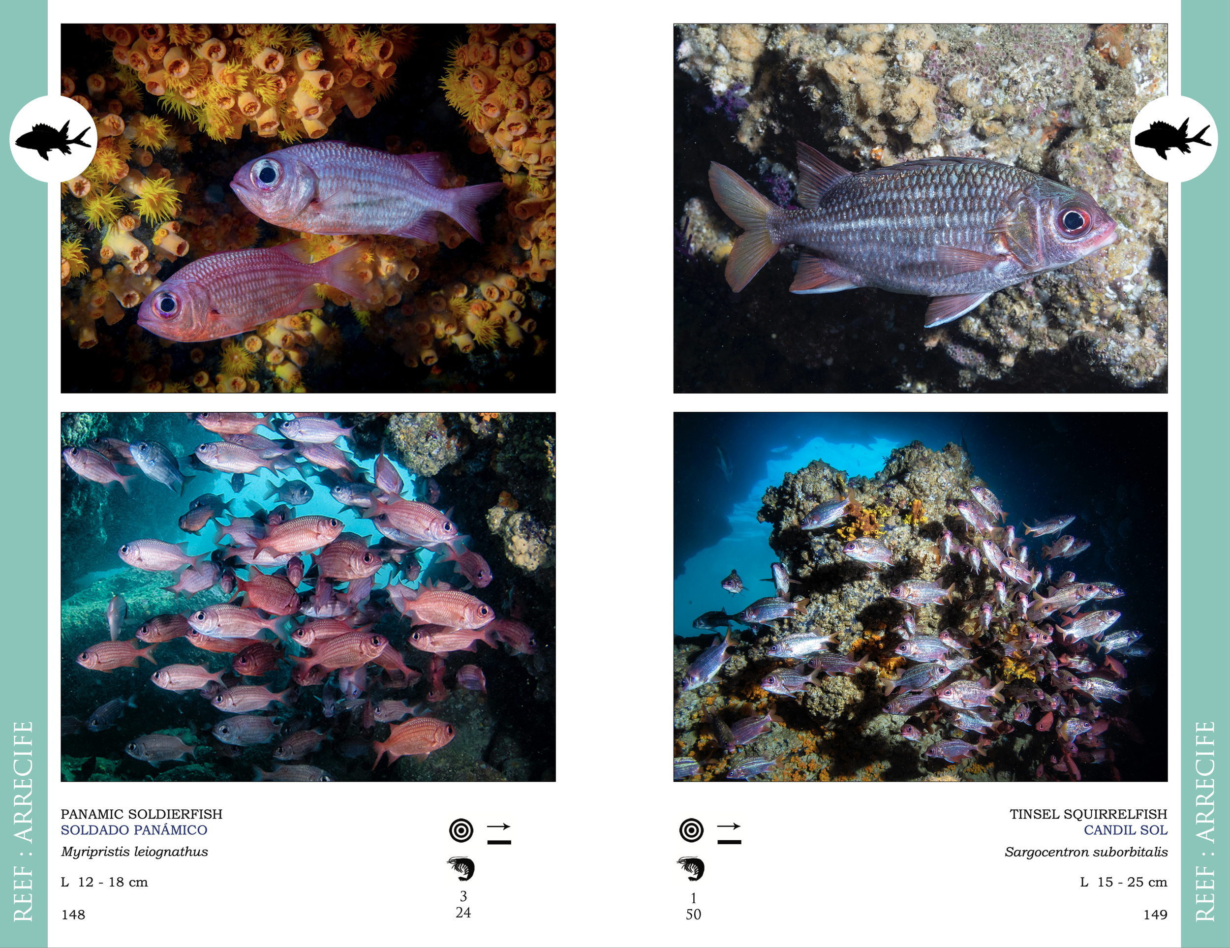 Screenshot 2026-03-02 at 1.48.56 p.m..png