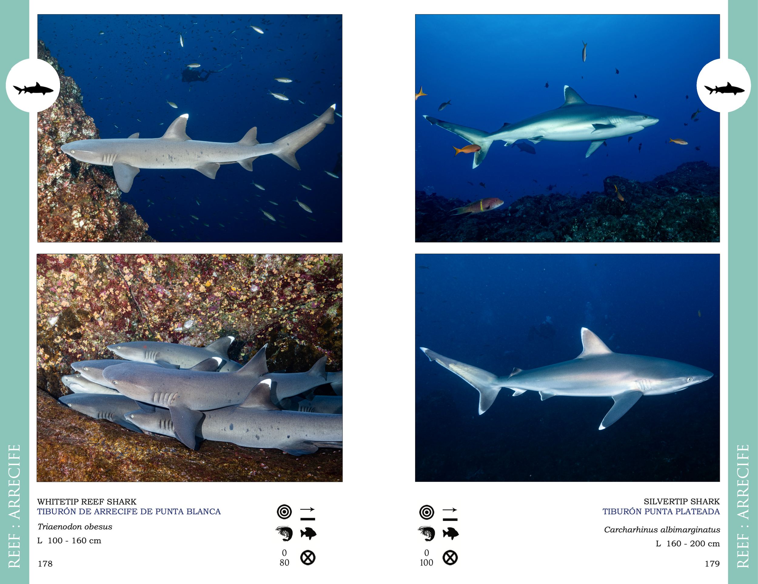 Screenshot 2026-03-02 at 1.49.21 p.m..png