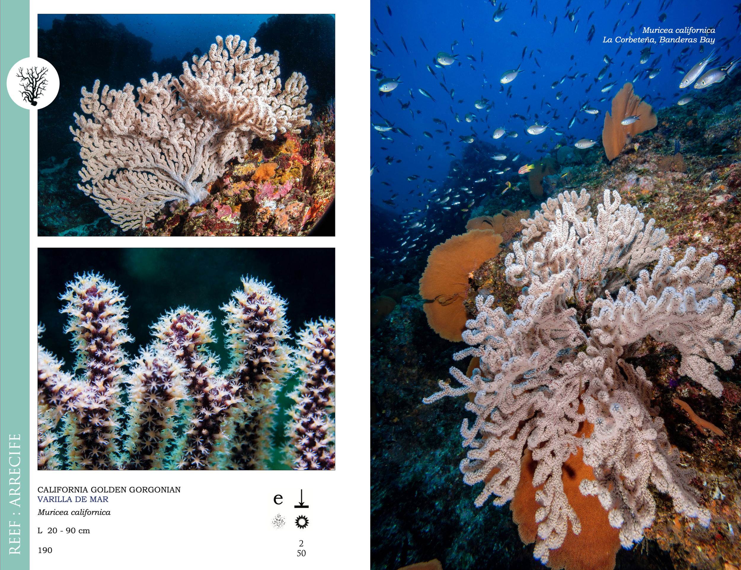 Screenshot 2026-03-02 at 1.49.37 p.m..png