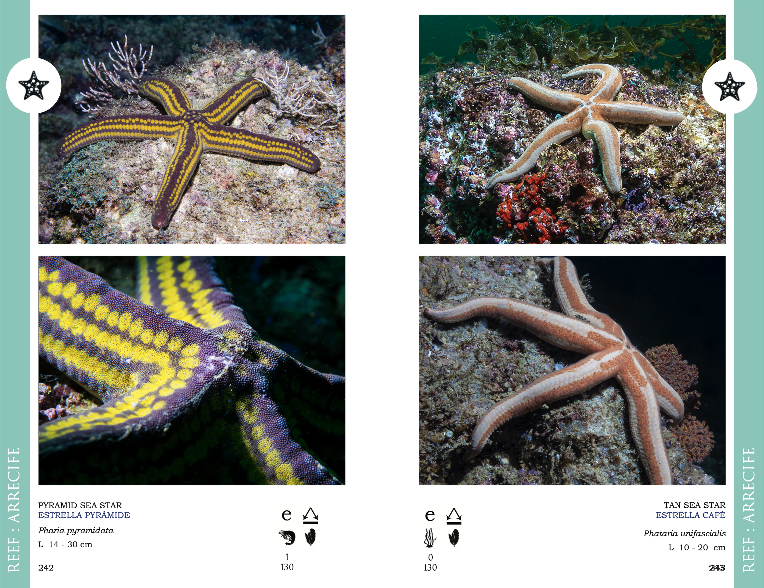 Screenshot 2026-03-02 at 1.49.55 p.m..png