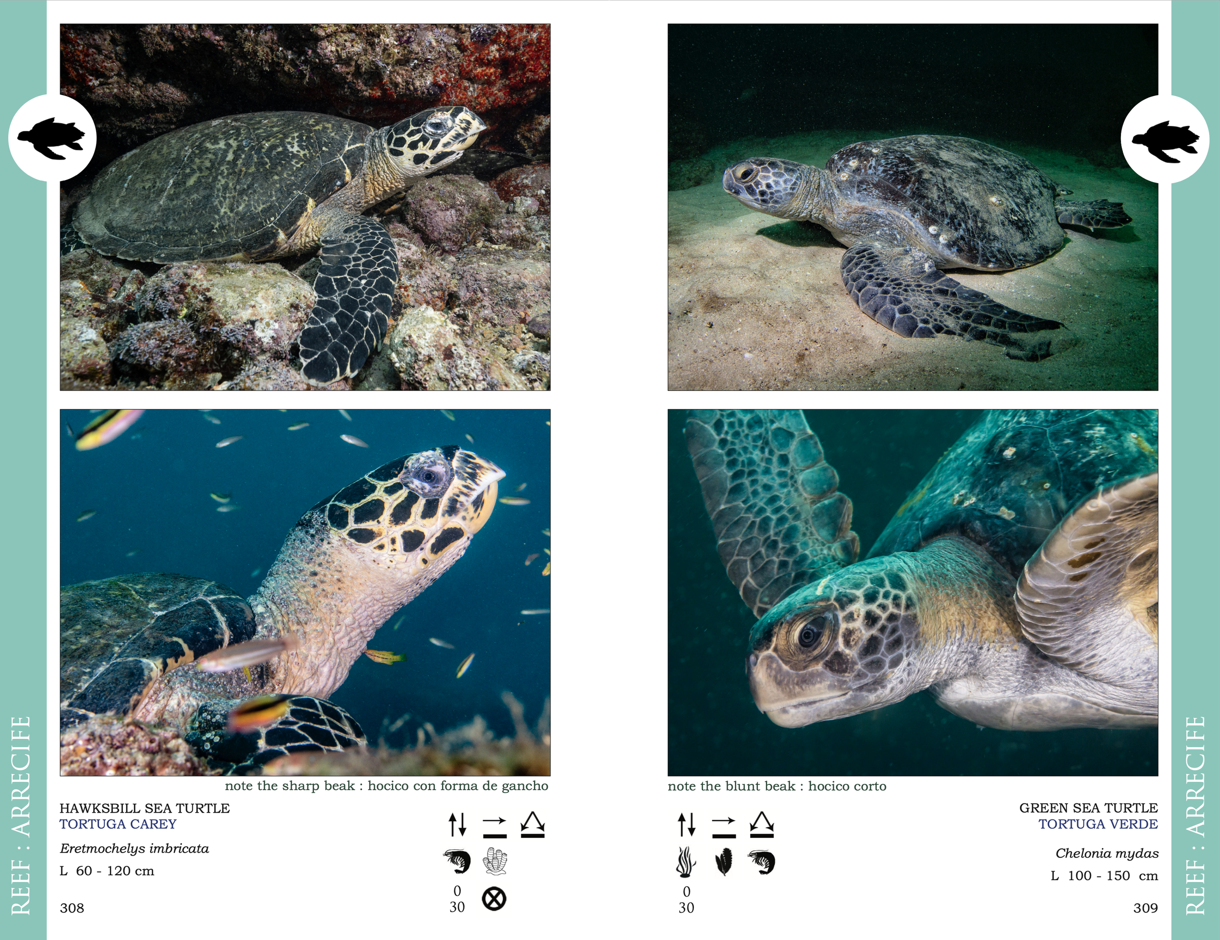 Screenshot 2026-03-02 at 1.50.24 p.m..png