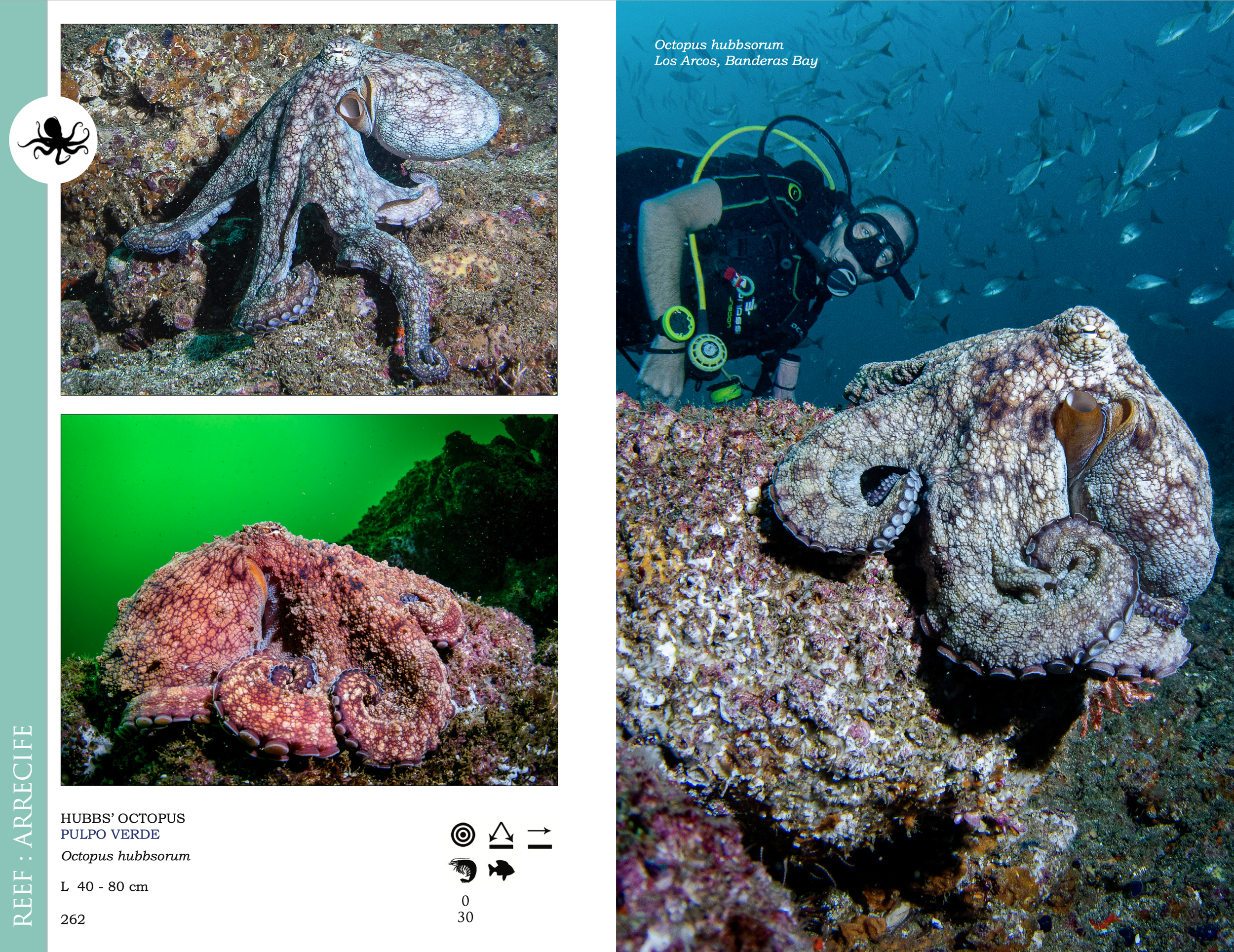 Screenshot 2026-03-02 at 1.50.06 p.m..png