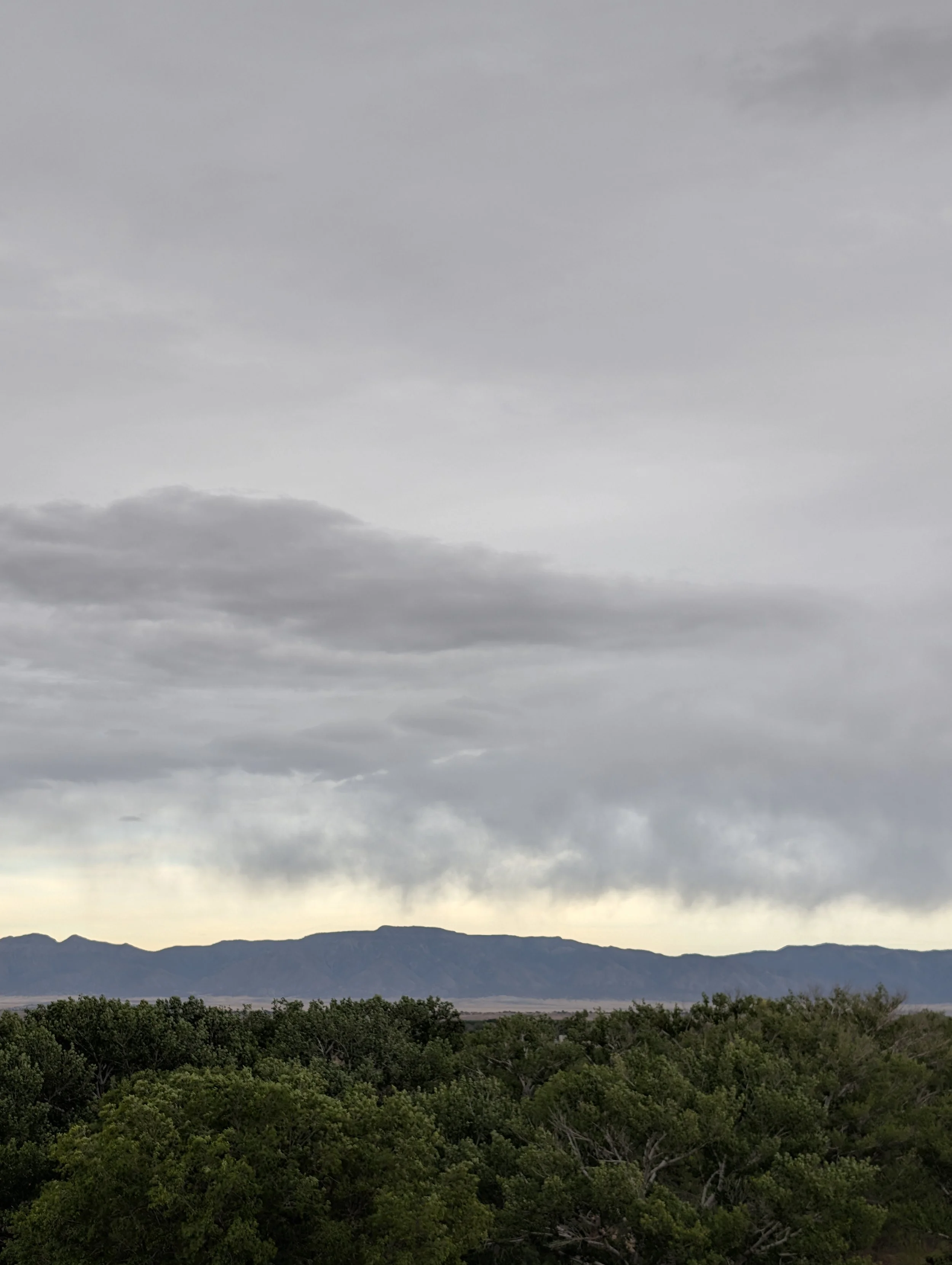 A landscape with dark green trees in the foreground, a range of mountains in the distance, and a cloudy sky overhead.