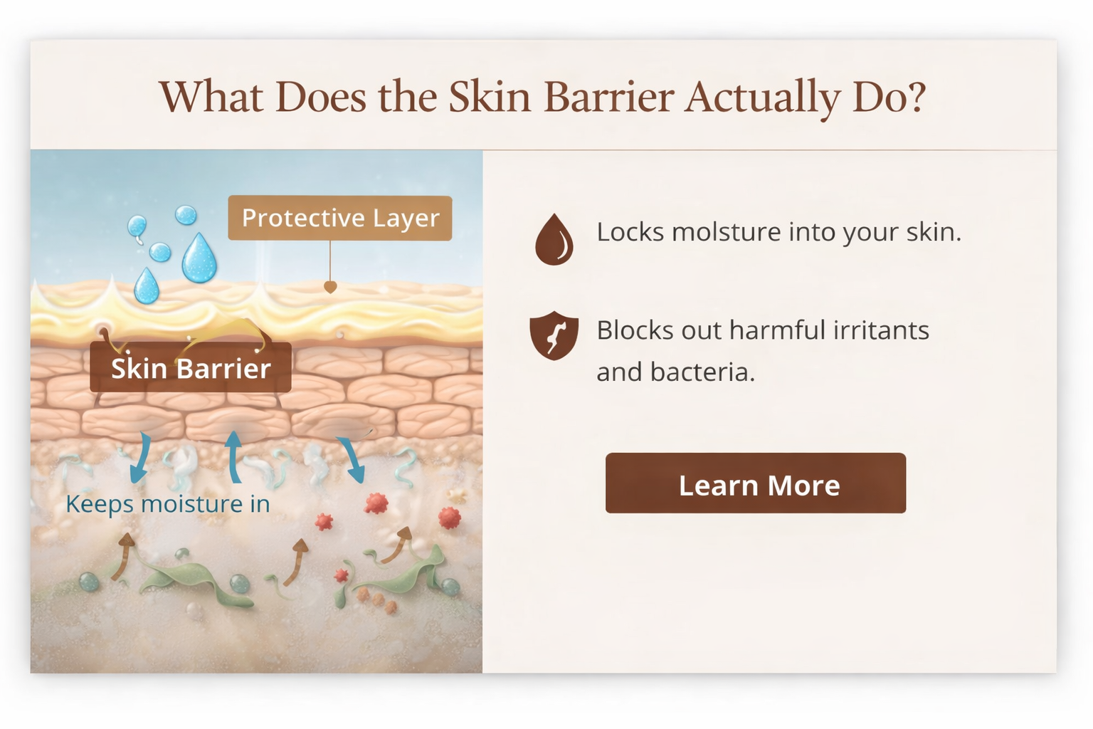 Diagram illustrating how the skin barrier protects the skin. It shows a protective layer, a skin barrier keeping moisture in, and how it blocks harmful irritants and bacteria. Accompanying text explains moisture retention and blocking irritants.