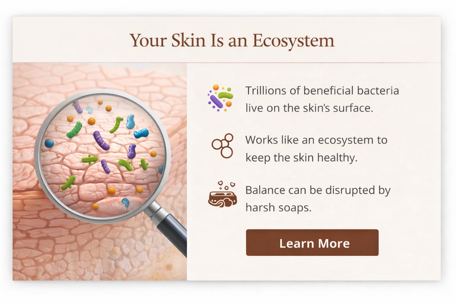Close-up illustration of skin surface with magnifying glass showing beneficial bacteria, accompanied by text explaining the skin's ecosystem, bacteria's role, and effects of harsh soaps.