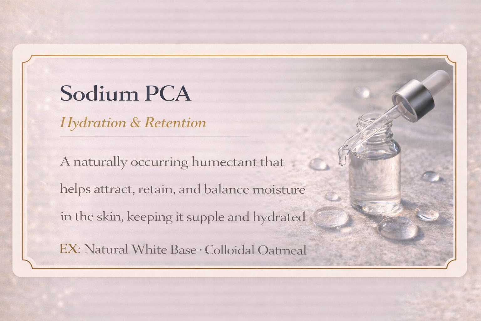 Information card about Sodium PCA with a picture of a dropper bottle on a light textured background. The card explains that Sodium PCA is a naturally occurring humectant that helps attract, retain, and balance moisture in the skin, keeping it supple and hydrated. It includes examples like natural white base and colloidal oatmeal.