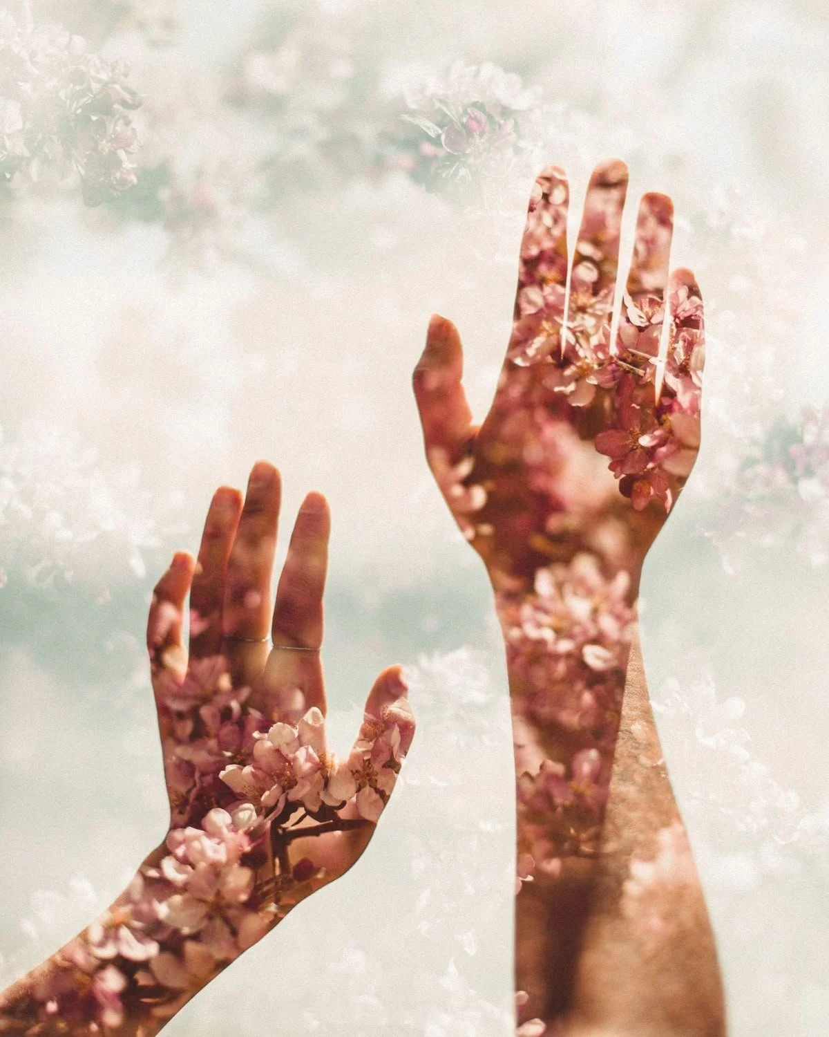 45 min Energy healing- In person or via distance