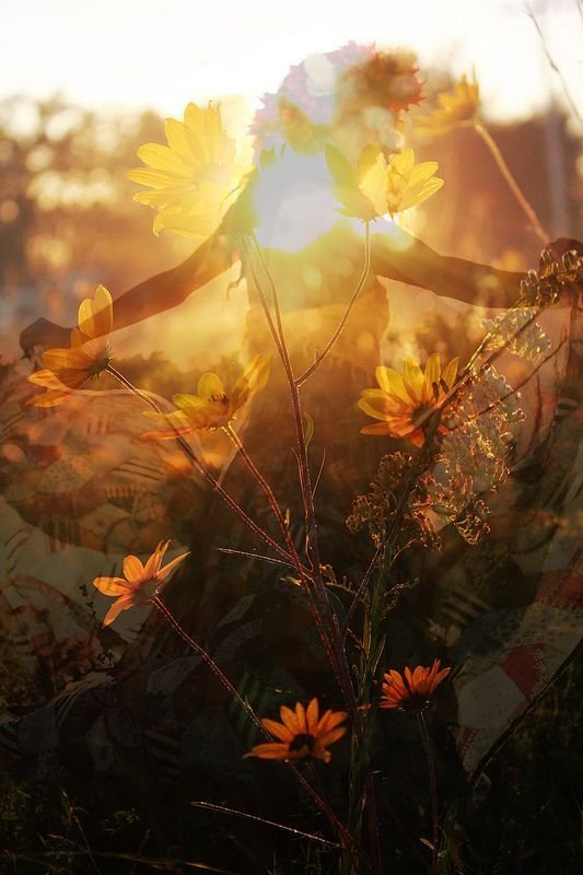 A double exposure photo with yellow and orange daisies in the foreground and a silhouette of a person holding a bouquet of flowers in the background, during sunset.